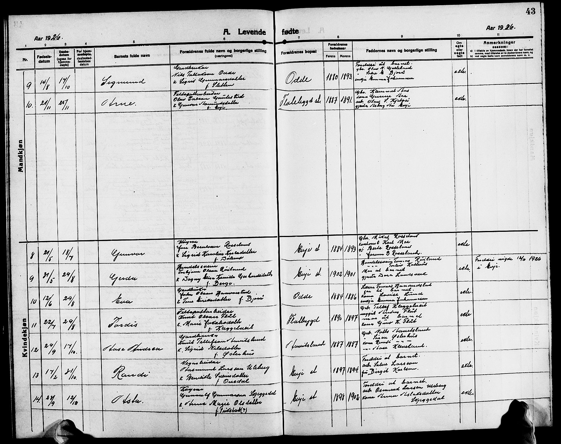 Evje sokneprestkontor, SAK/1111-0008/F/Fb/Fba/L0005: Parish register (copy) no. B 5, 1914-1926, p. 43