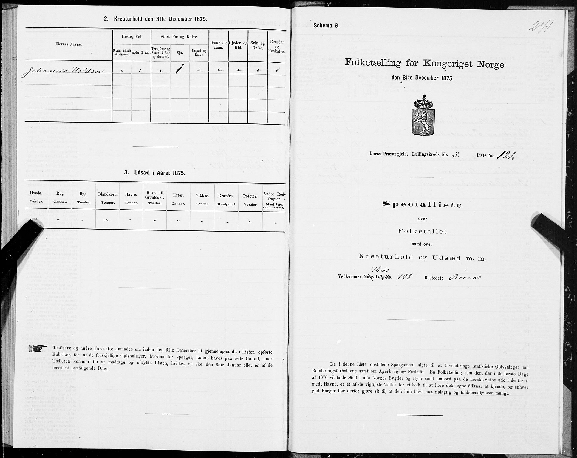 SAT, 1875 census for 1640P Røros, 1875, p. 2241