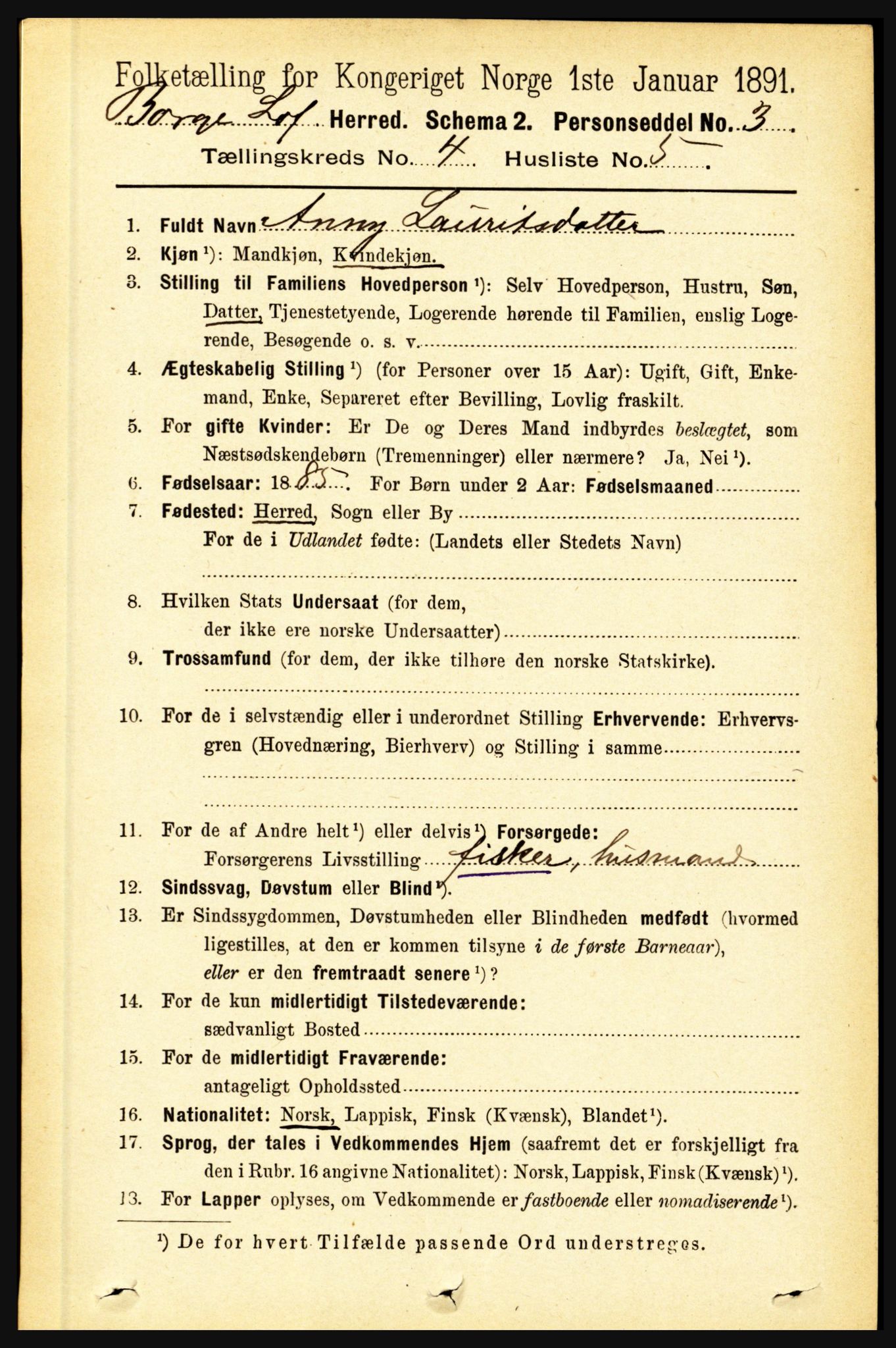 RA, 1891 census for 1862 Borge, 1891, p. 2193