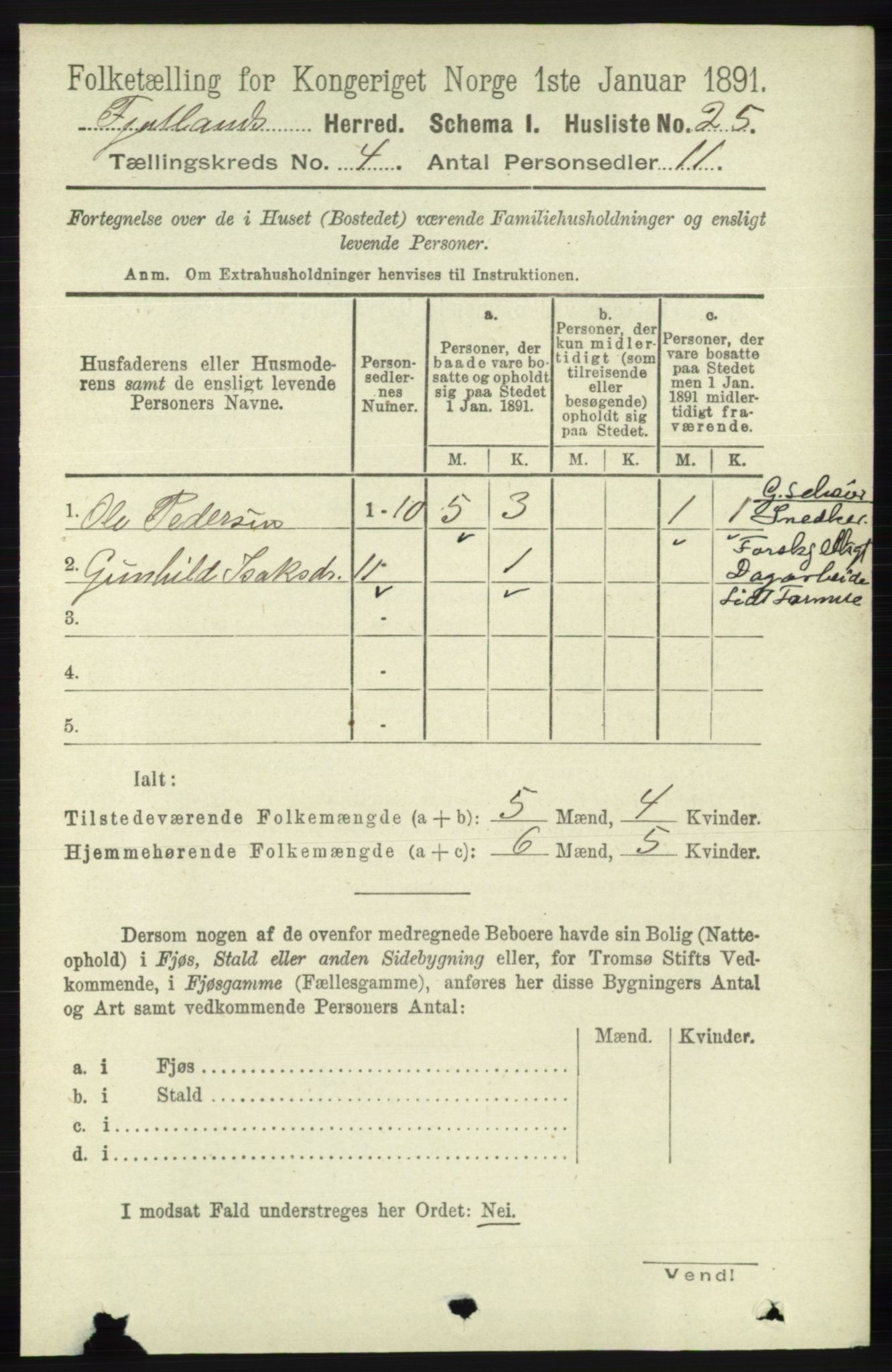 RA, 1891 census for 1036 Fjotland, 1891, p. 524