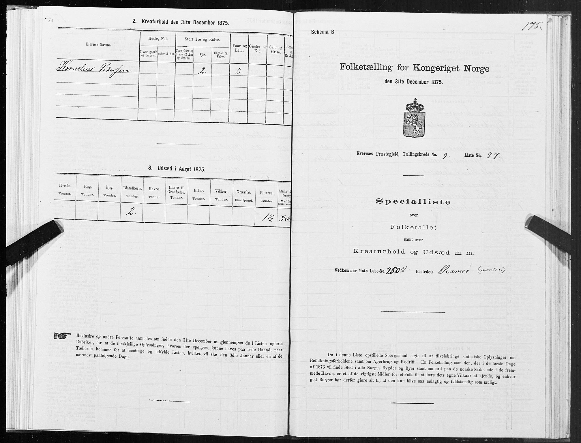 SAT, 1875 census for 1553P Kvernes, 1875, p. 5175