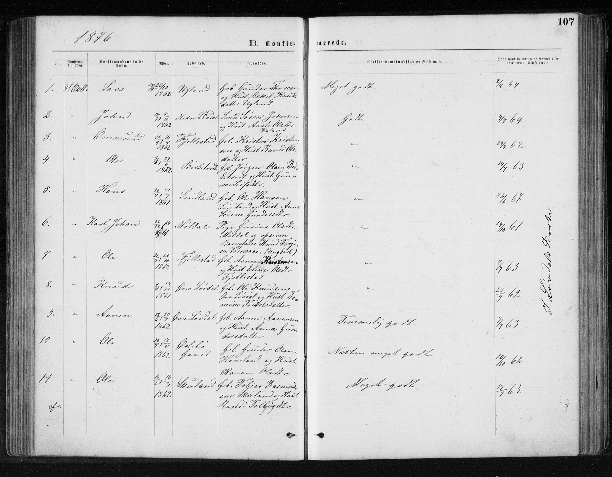 Holum sokneprestkontor, SAK/1111-0022/F/Fb/Fbb/L0003: Parish register (copy) no. B 3, 1875-1898, p. 107