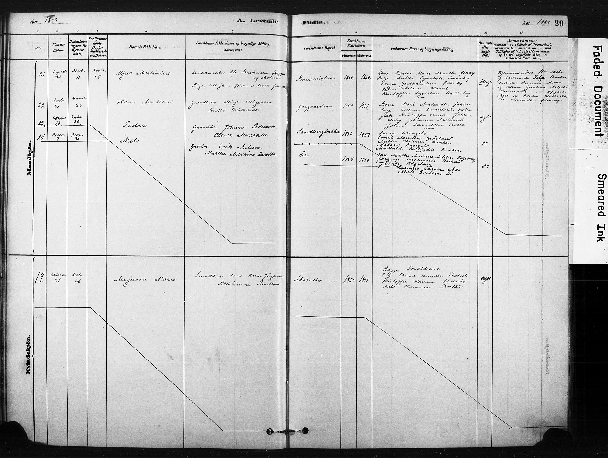 Eiker kirkebøker, AV/SAKO-A-4/F/Fc/L0001: Parish register (official) no. III 1, 1878-1889, p. 29