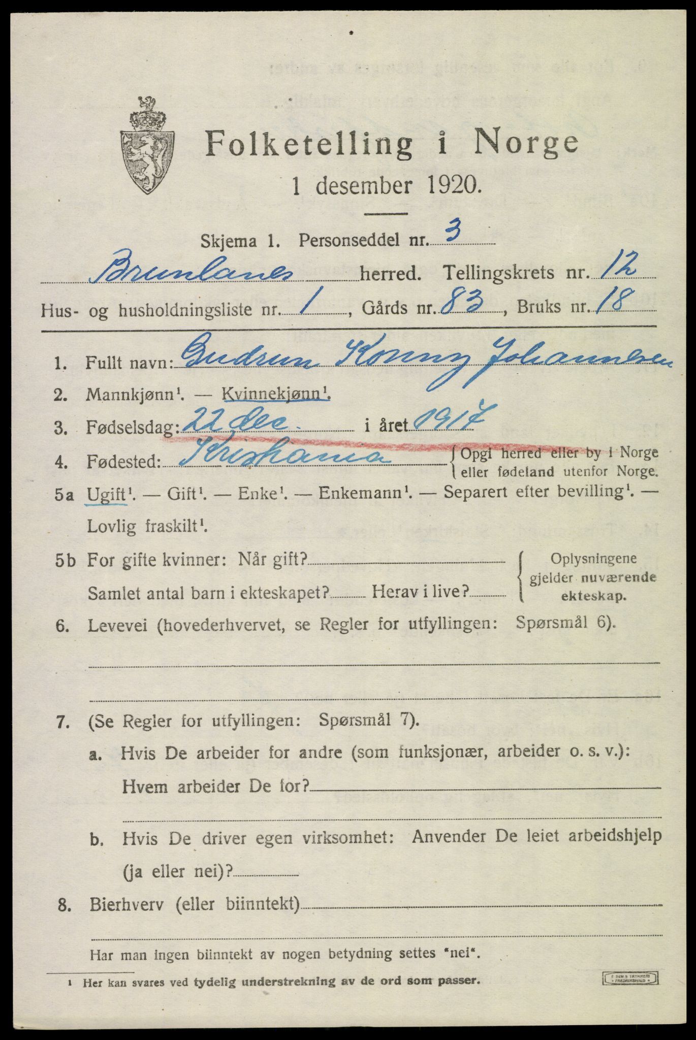 SAKO, 1920 census for Brunlanes, 1920, p. 10507