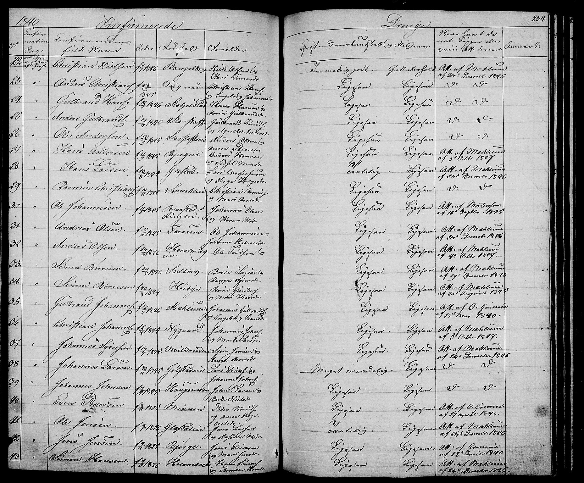 Ringsaker prestekontor, AV/SAH-PREST-014/L/La/L0005: Parish register (copy) no. 5, 1839-1850, p. 234