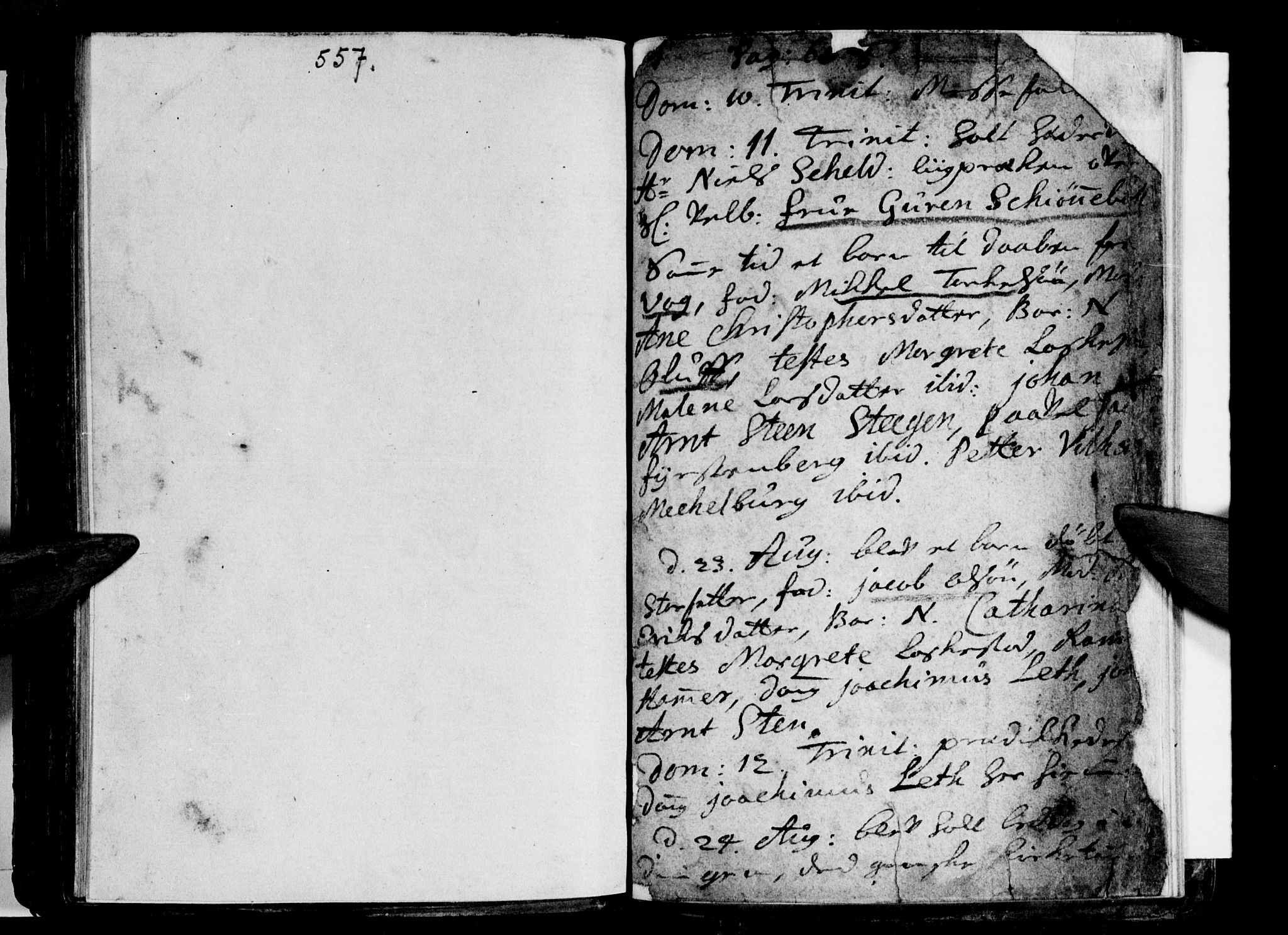 Ministerialprotokoller, klokkerbøker og fødselsregistre - Nordland, AV/SAT-A-1459/855/L0793: Parish register (official) no. 855A01, 1686-1712, p. 557-558