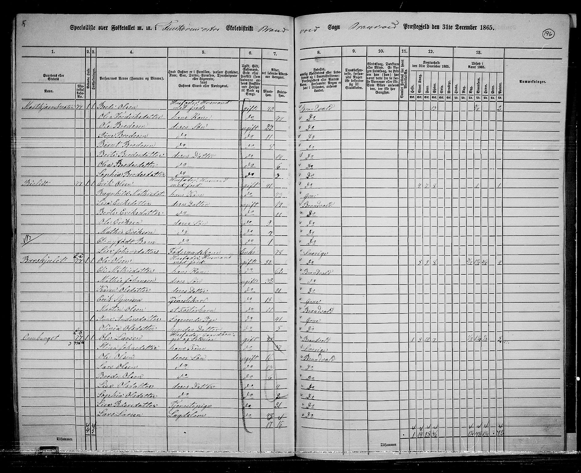 RA, 1865 census for Brandval, 1865, p. 164