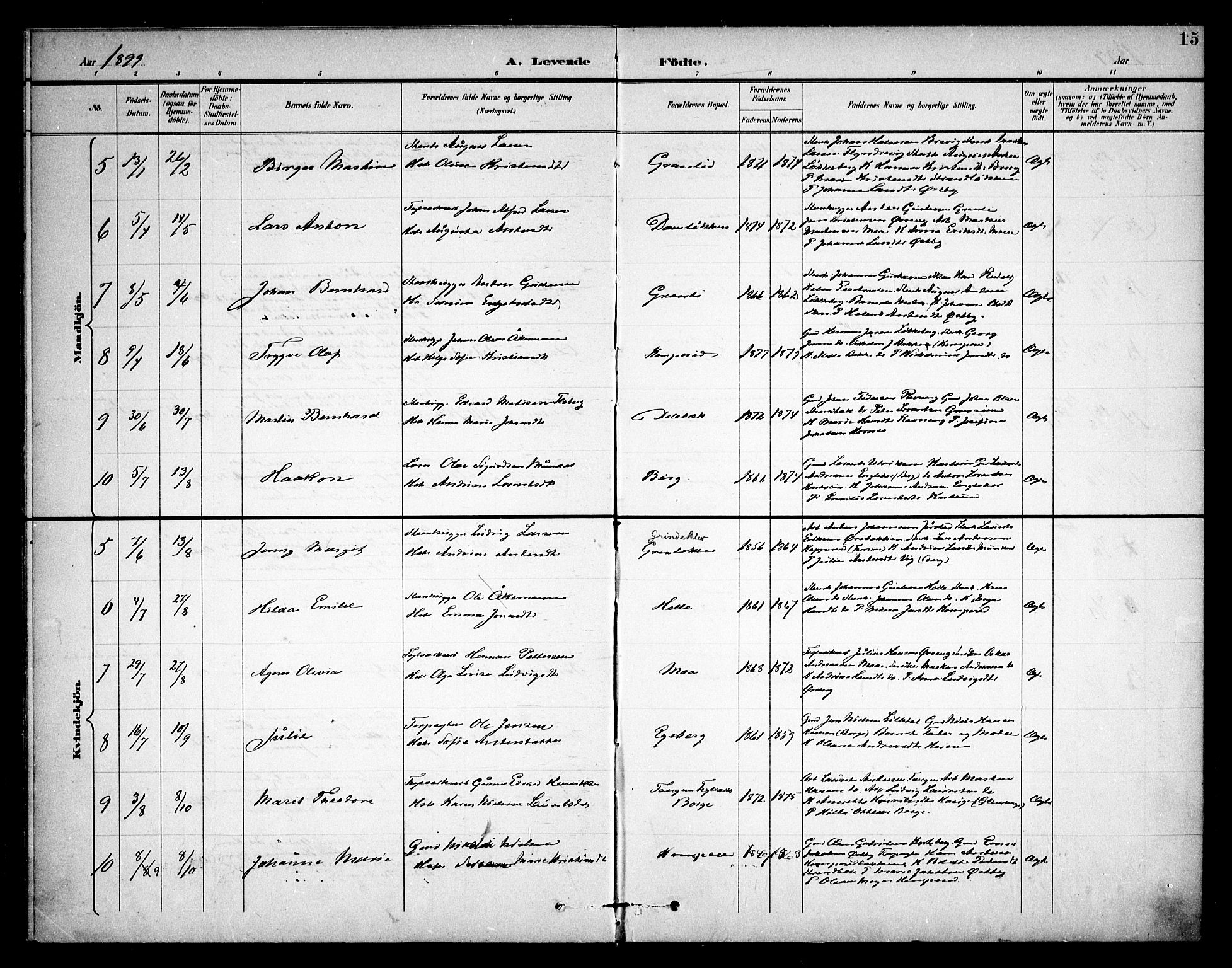 Skjeberg prestekontor Kirkebøker, AV/SAO-A-10923/F/Fb/L0002: Parish register (official) no. II 2, 1895-1910, p. 15