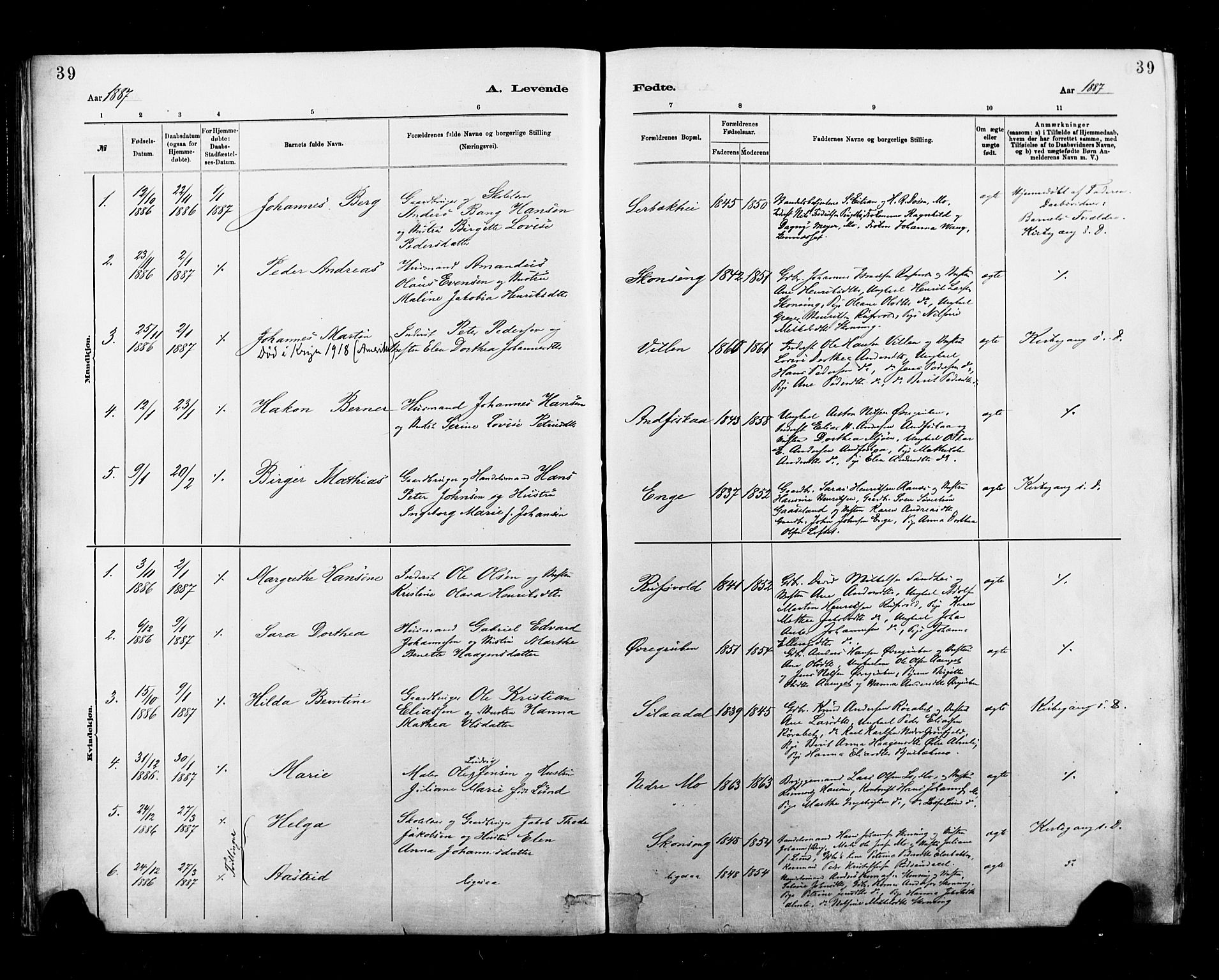 Ministerialprotokoller, klokkerbøker og fødselsregistre - Nordland, SAT/A-1459/827/L0400: Parish register (official) no. 827A12, 1883-1903, p. 39