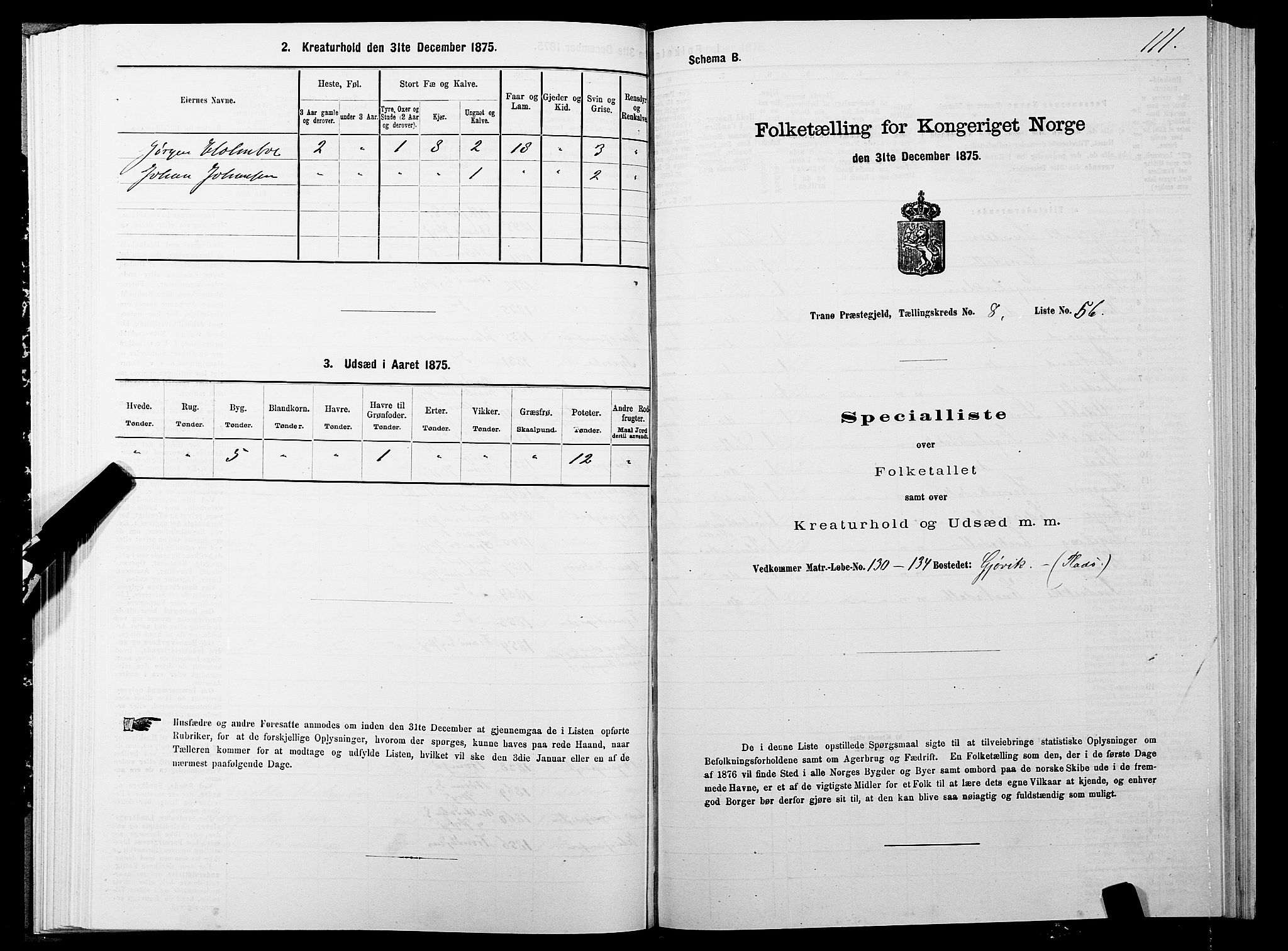 SATØ, 1875 census for 1927P Tranøy, 1875, p. 4111