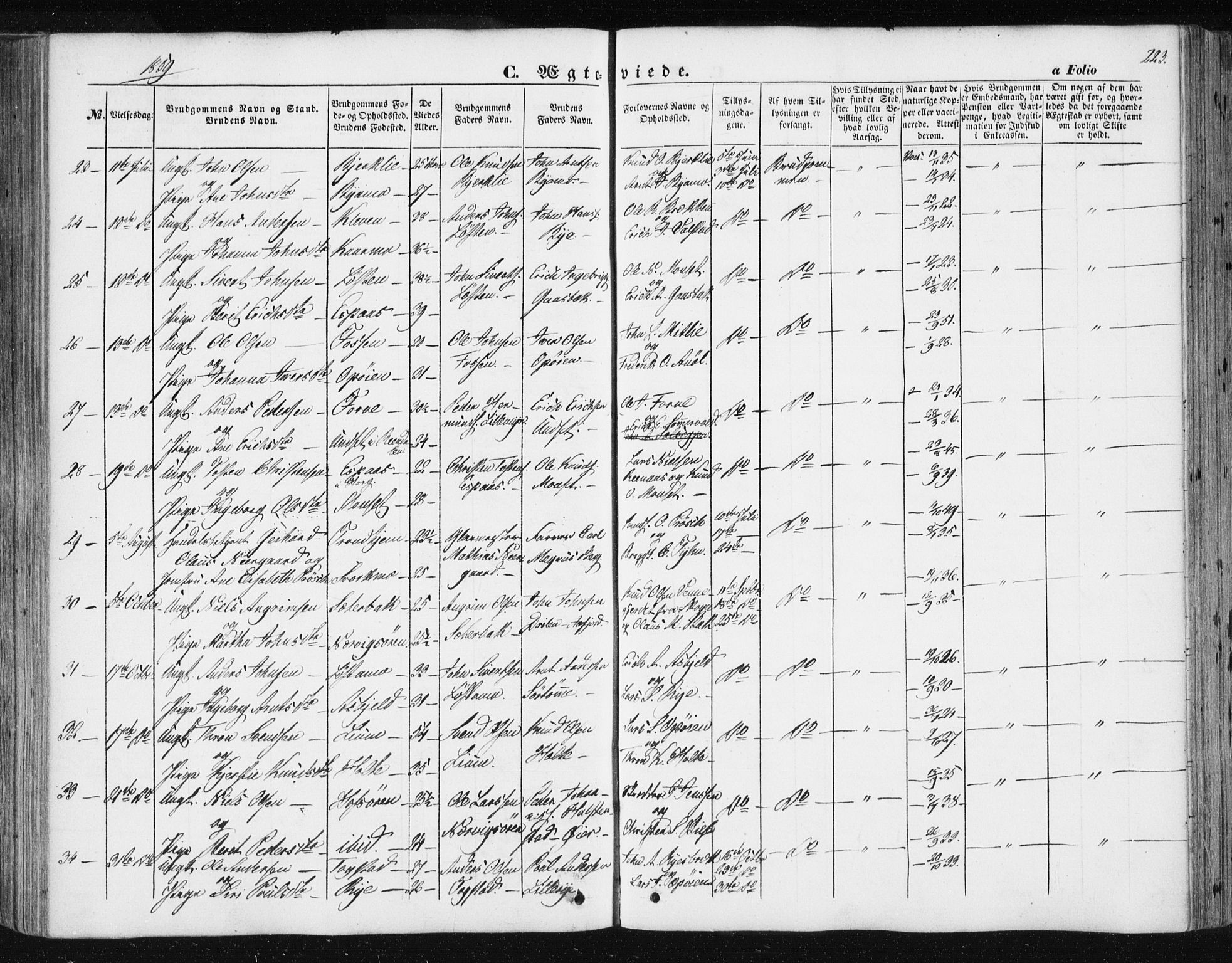 Ministerialprotokoller, klokkerbøker og fødselsregistre - Sør-Trøndelag, SAT/A-1456/668/L0806: Parish register (official) no. 668A06, 1854-1869, p. 223