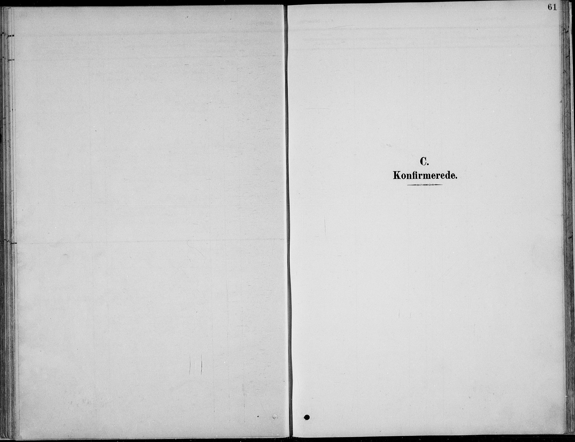 Nordre Land prestekontor, SAH/PREST-124/H/Ha/Hab/L0013: Parish register (copy) no. 13, 1891-1904, p. 61