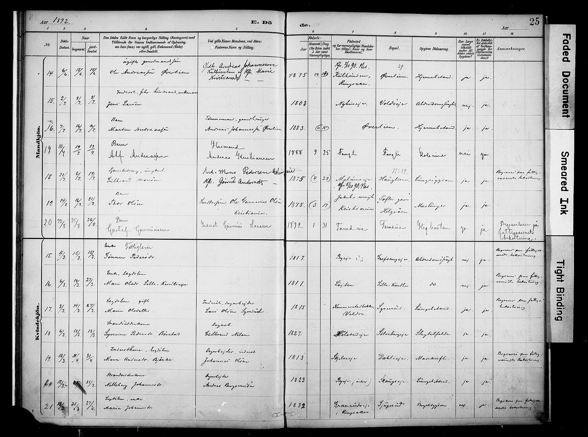 Nes prestekontor, Hedmark, AV/SAH-PREST-020/K/Ka/L0011: Parish register (official) no. 11, 1887-1905, p. 25