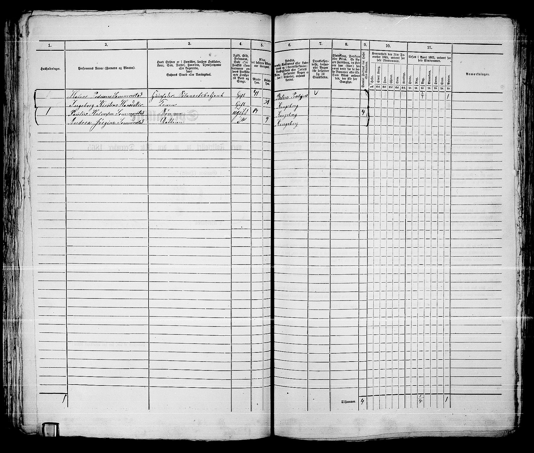 RA, 1865 census for Kongsberg/Kongsberg, 1865, p. 1125