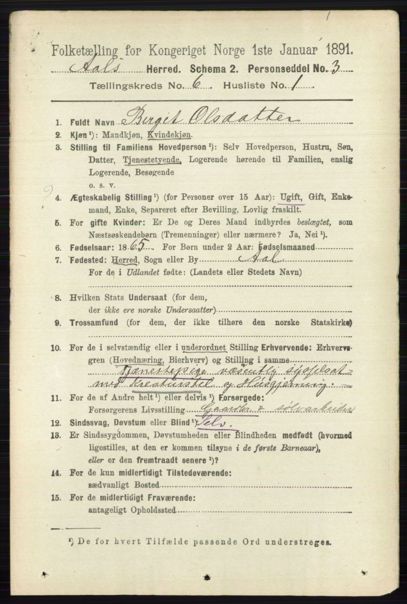 RA, 1891 census for 0619 Ål, 1891, p. 1523