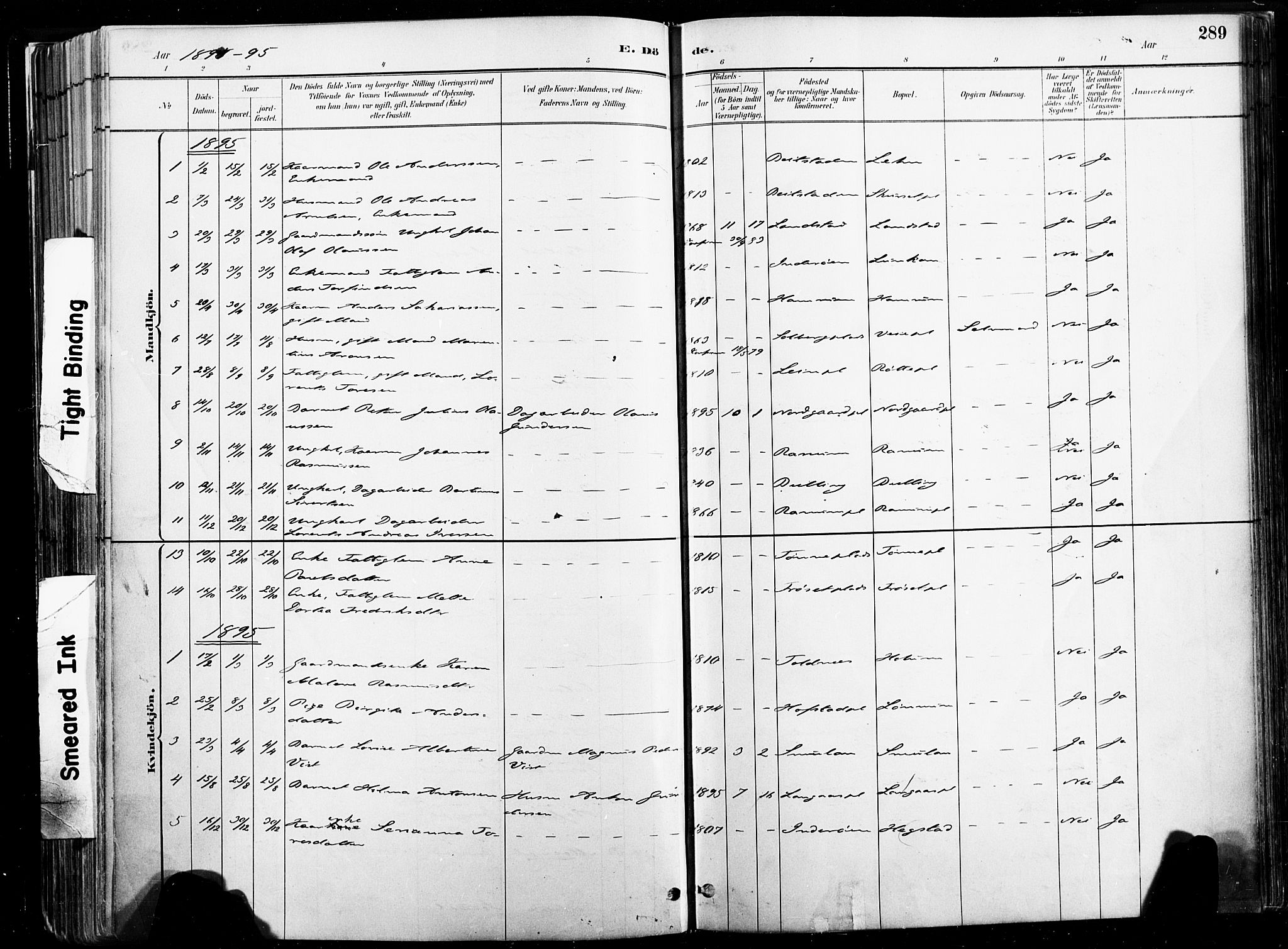 Ministerialprotokoller, klokkerbøker og fødselsregistre - Nord-Trøndelag, SAT/A-1458/735/L0351: Parish register (official) no. 735A10, 1884-1908, p. 289