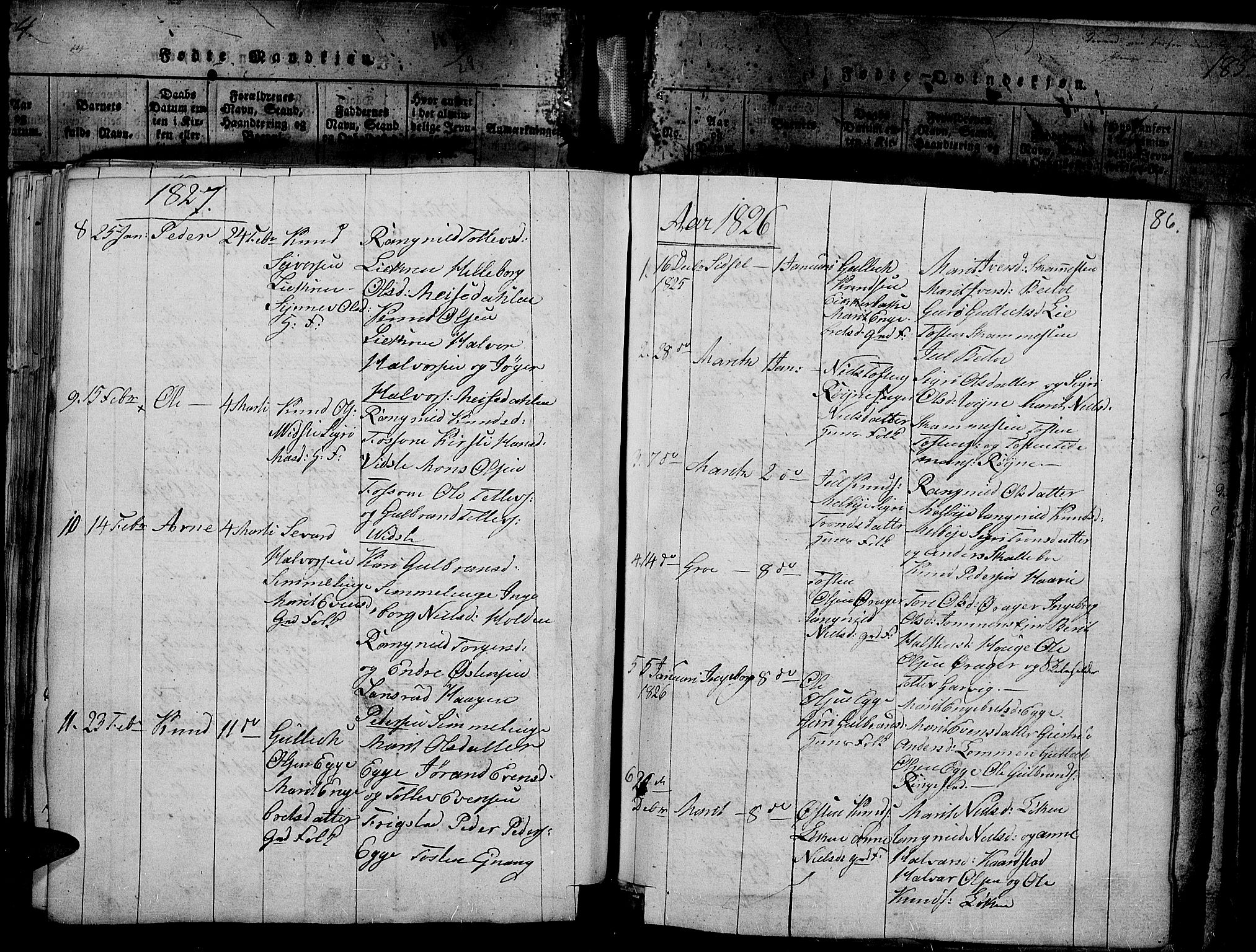Slidre prestekontor, SAH/PREST-134/H/Ha/Haa/L0002: Parish register (official) no. 2, 1814-1830, p. 187j