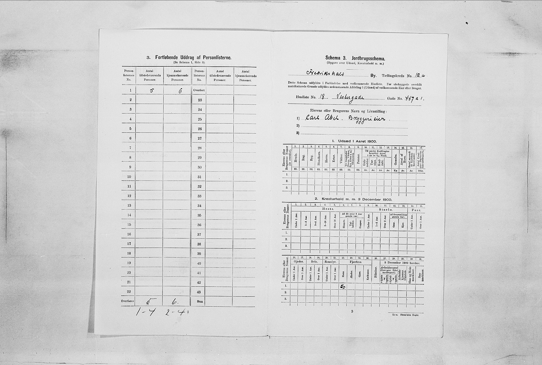 SAO, 1900 census for Fredrikshald, 1900