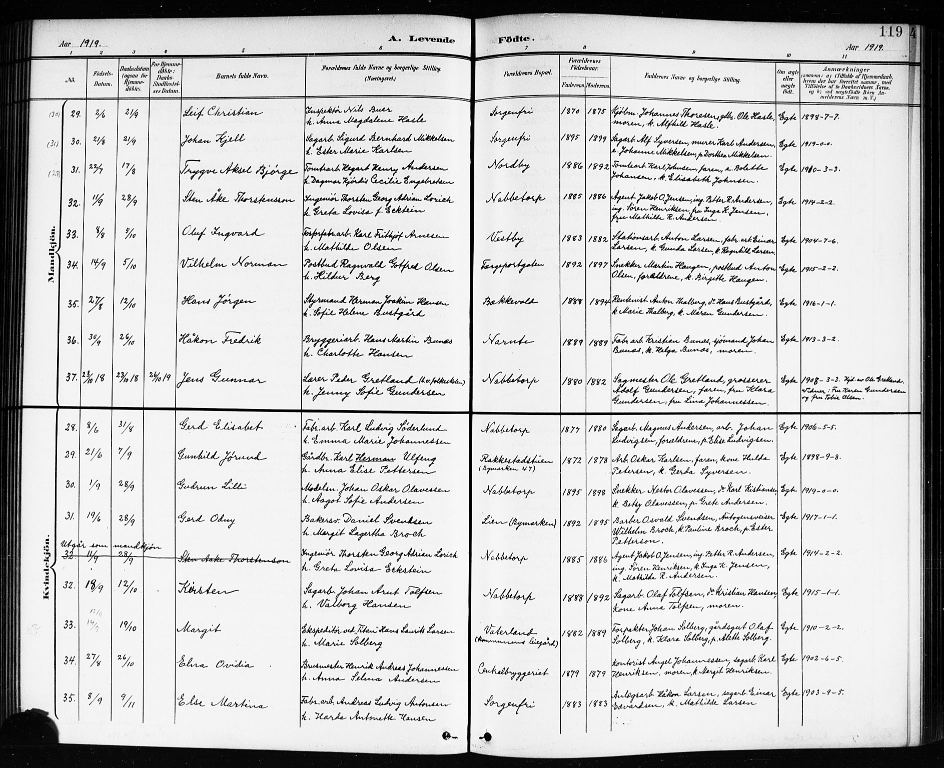 Østre Fredrikstad prestekontor Kirkebøker, AV/SAO-A-10907/G/Ga/L0002: Parish register (copy) no. 2, 1900-1919, p. 119