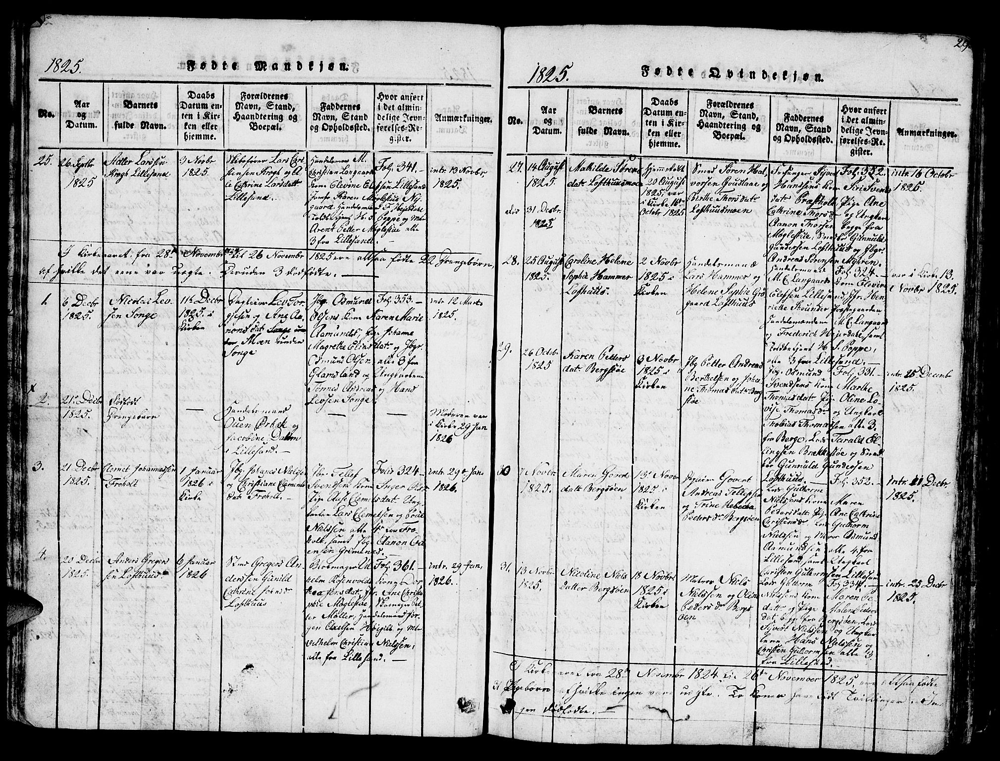 Vestre Moland sokneprestkontor, SAK/1111-0046/F/Fb/Fbb/L0001: Parish register (copy) no. B 1, 1816-1851, p. 29
