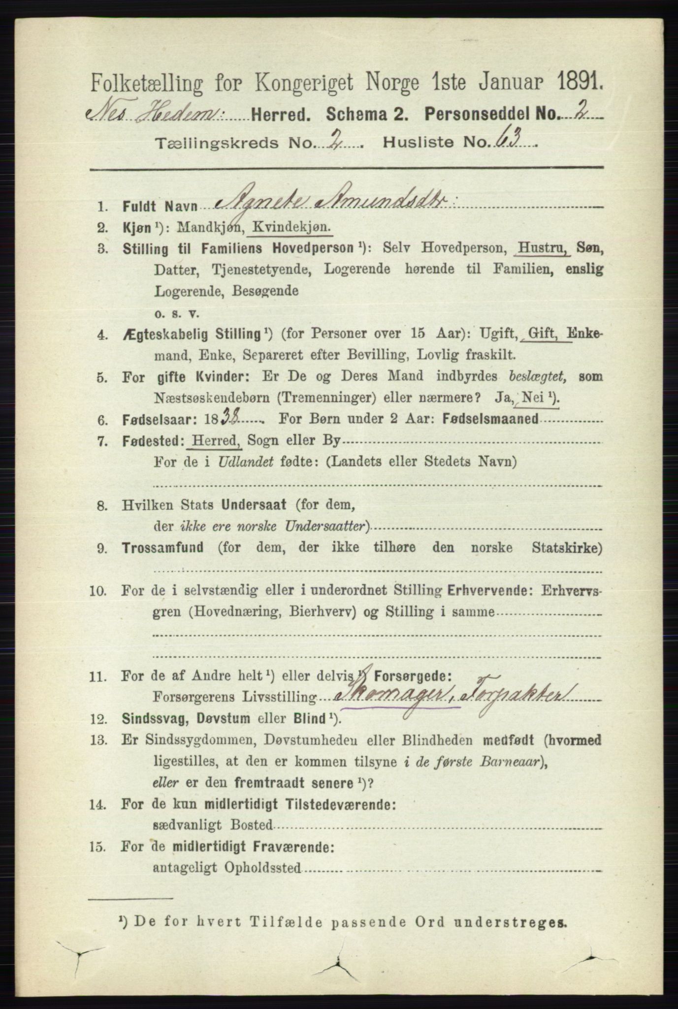 RA, 1891 census for 0411 Nes, 1891, p. 1510