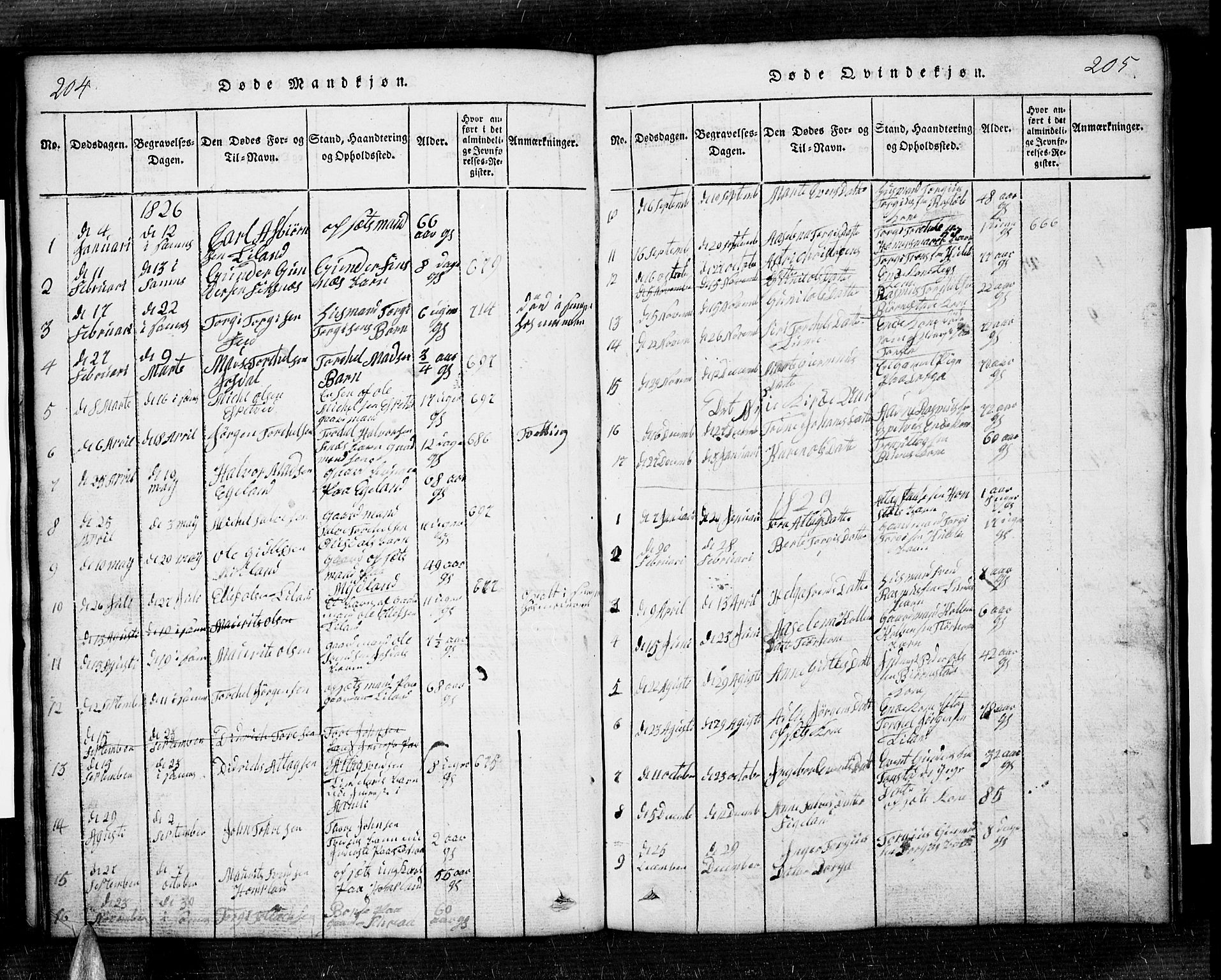 Sirdal sokneprestkontor, SAK/1111-0036/F/Fb/Fbb/L0001: Parish register (copy) no. B 1, 1815-1834, p. 204-205