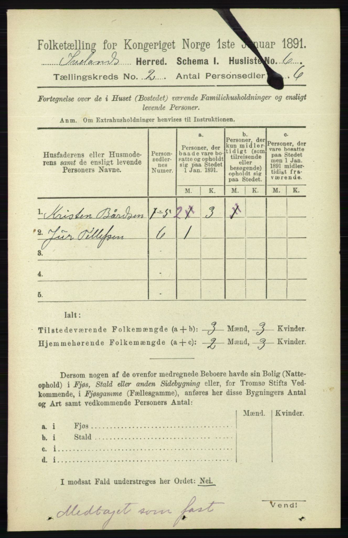 RA, 1891 census for 0935 Iveland, 1891, p. 371