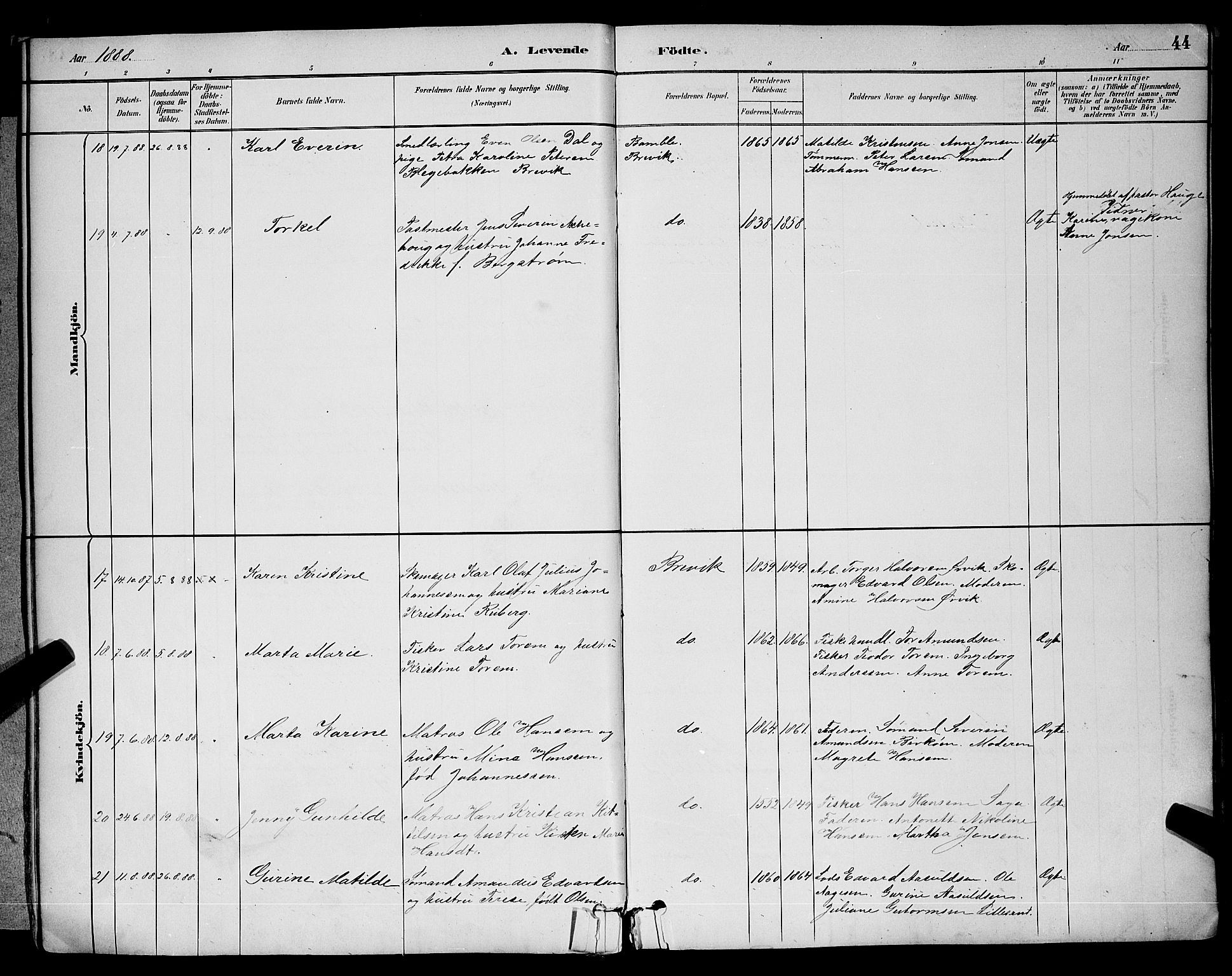 Brevik kirkebøker, AV/SAKO-A-255/G/Ga/L0004: Parish register (copy) no. 4, 1882-1900, p. 44