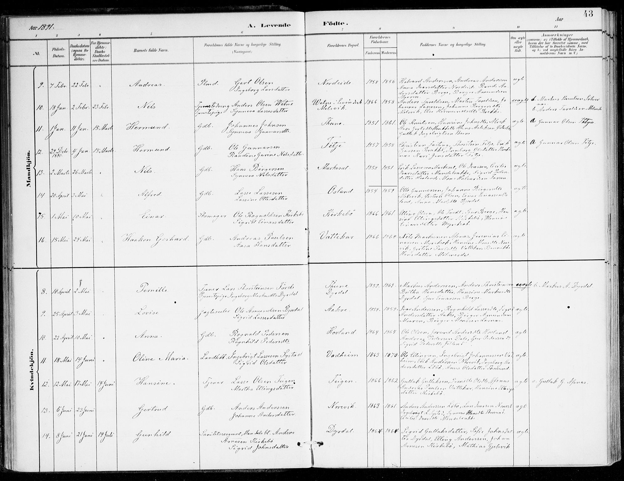 Lavik sokneprestembete, AV/SAB-A-80901: Parish register (official) no. C 1, 1882-1904, p. 43