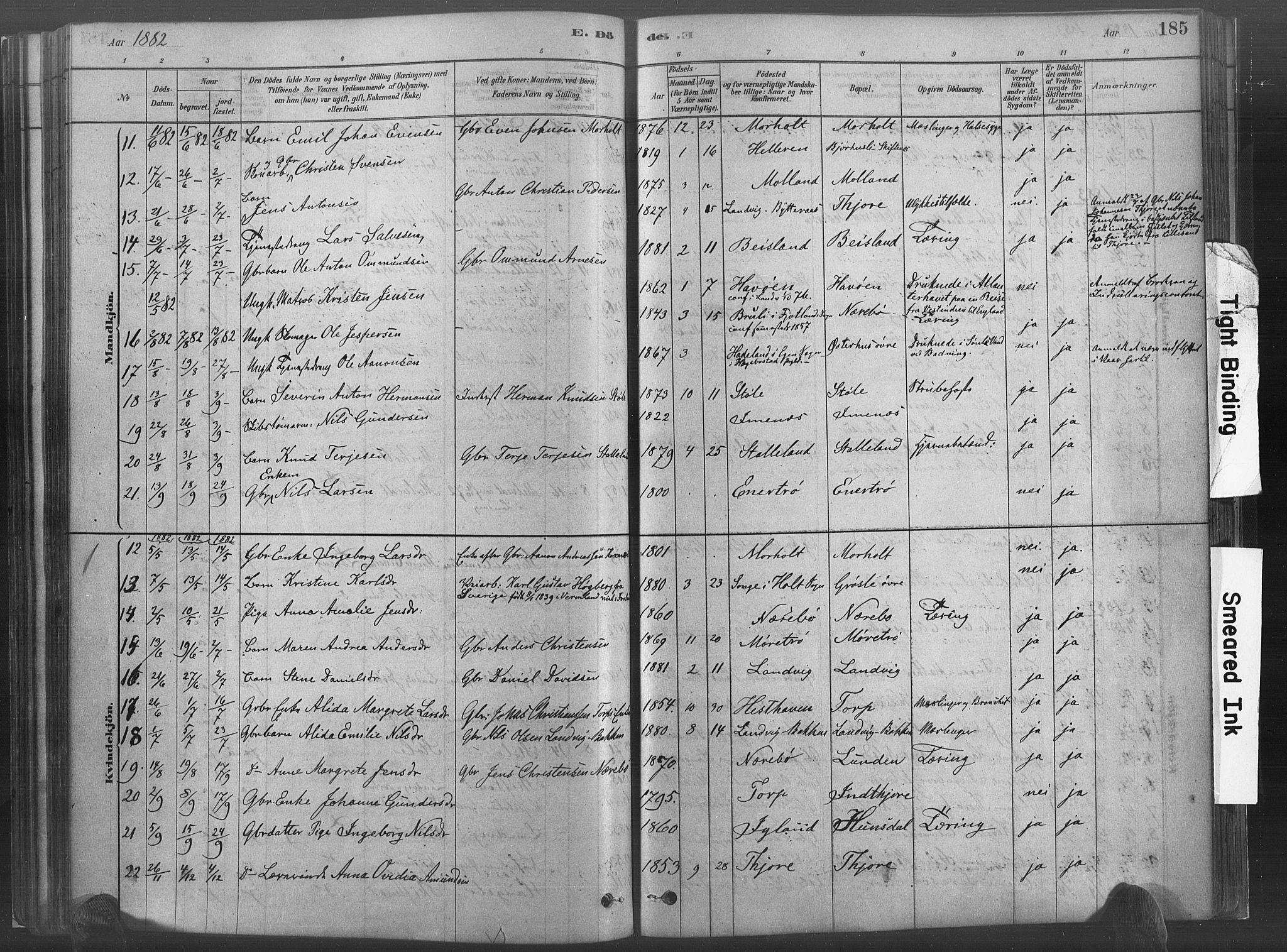 Hommedal sokneprestkontor, SAK/1111-0023/F/Fa/Fab/L0006: Parish register (official) no. A 6, 1878-1897, p. 185