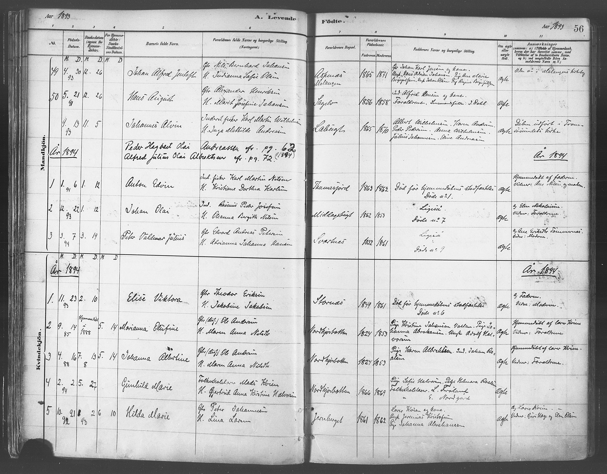 Balsfjord sokneprestembete, SATØ/S-1303/G/Ga/L0005kirke: Parish register (official) no. 5, 1884-1897, p. 56