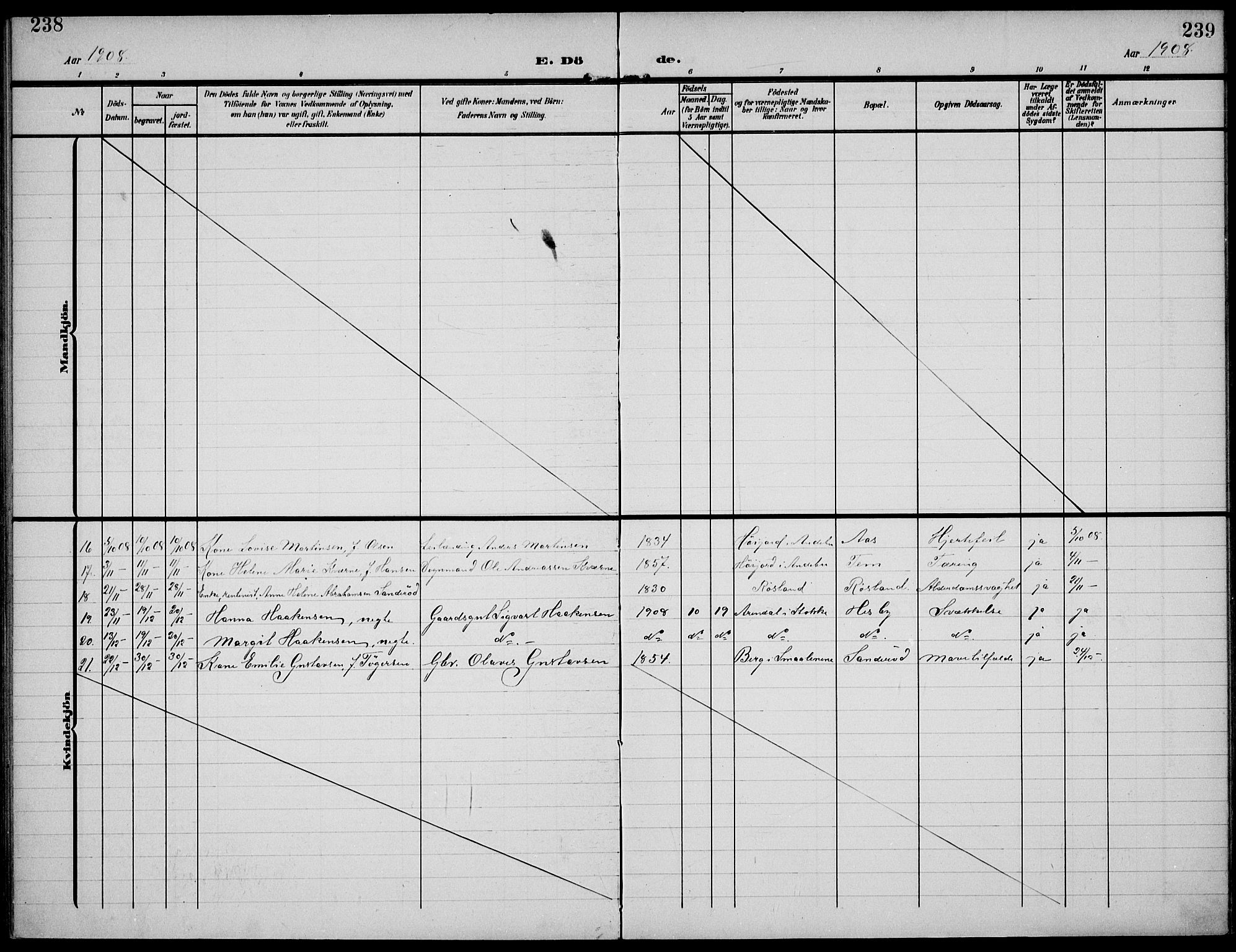 Sem kirkebøker, AV/SAKO-A-5/F/Fa/L0012: Parish register (official) no. I 12, 1905-1915, p. 238-239