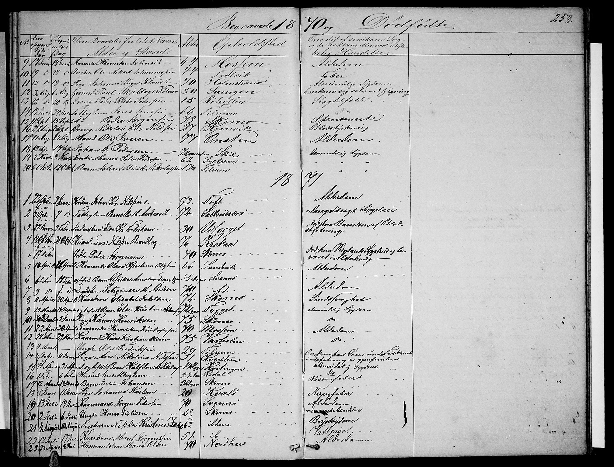 Ministerialprotokoller, klokkerbøker og fødselsregistre - Nordland, SAT/A-1459/813/L0212: Parish register (copy) no. 813C04, 1864-1886, p. 258
