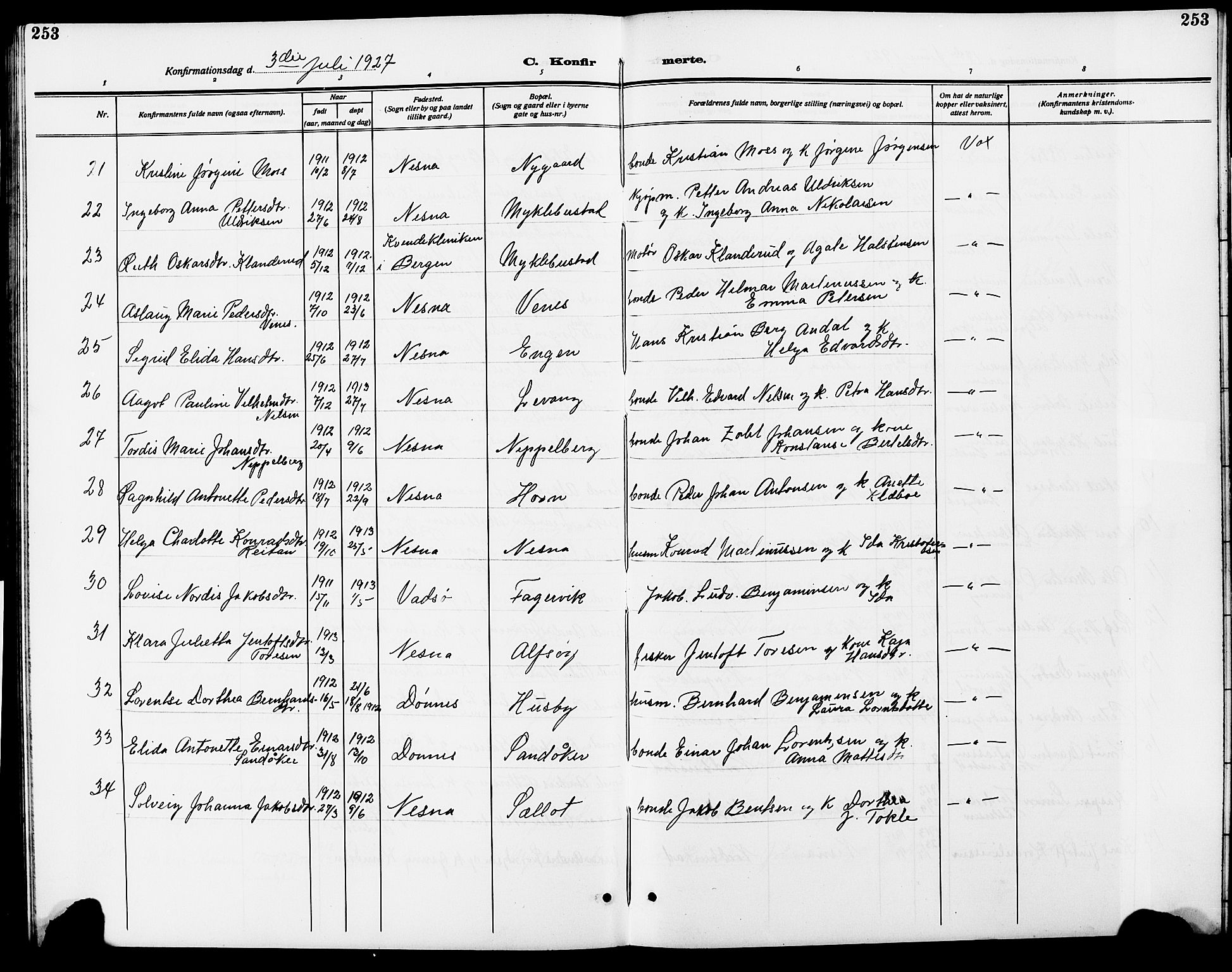 Ministerialprotokoller, klokkerbøker og fødselsregistre - Nordland, AV/SAT-A-1459/838/L0560: Parish register (copy) no. 838C07, 1910-1928, p. 253