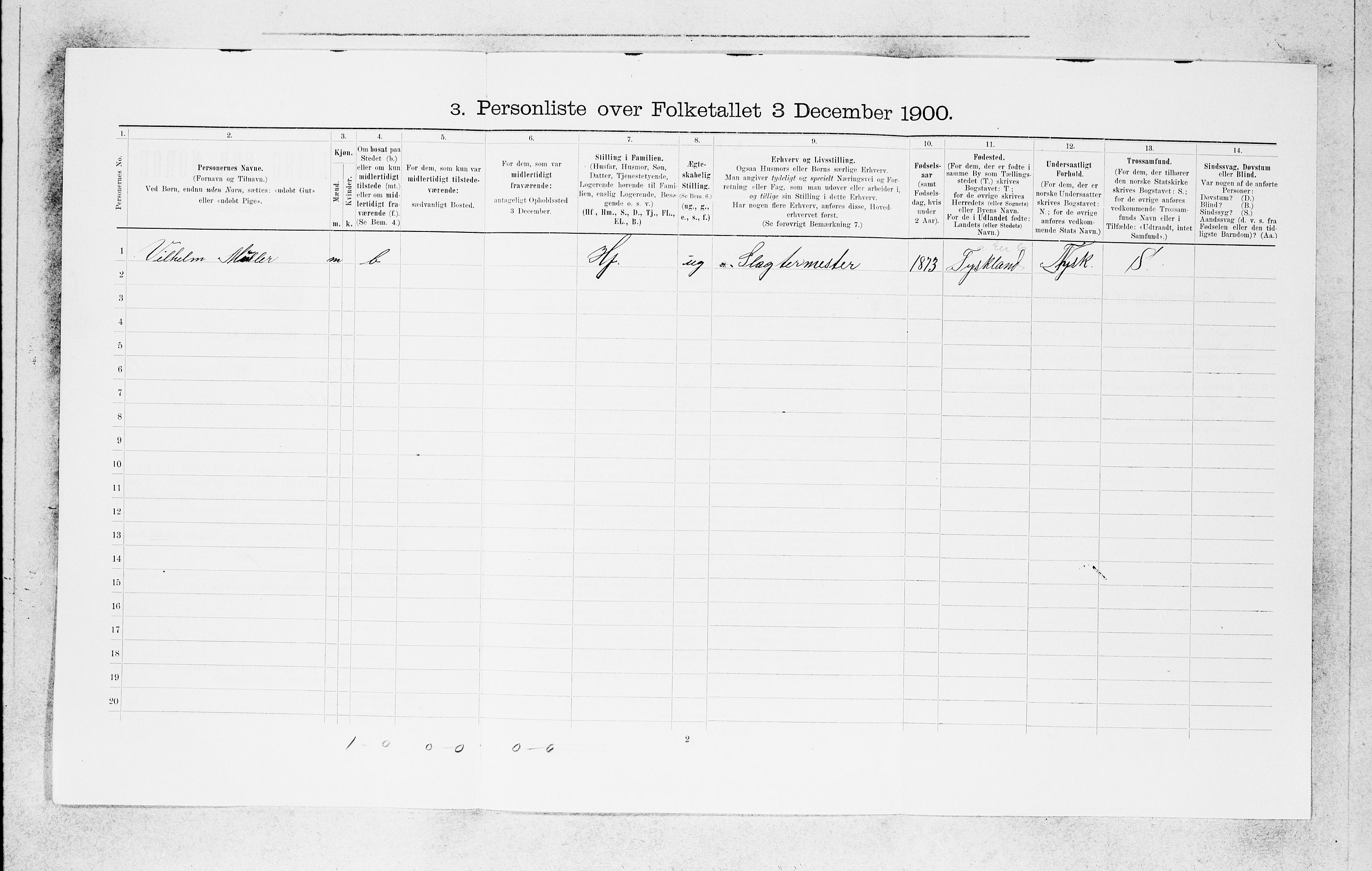 SAB, 1900 census for Bergen, 1900, p. 2379