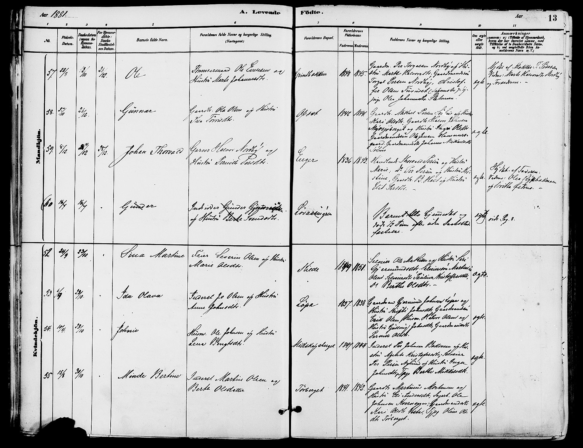 Trysil prestekontor, AV/SAH-PREST-046/H/Ha/Haa/L0008: Parish register (official) no. 8, 1881-1897, p. 13