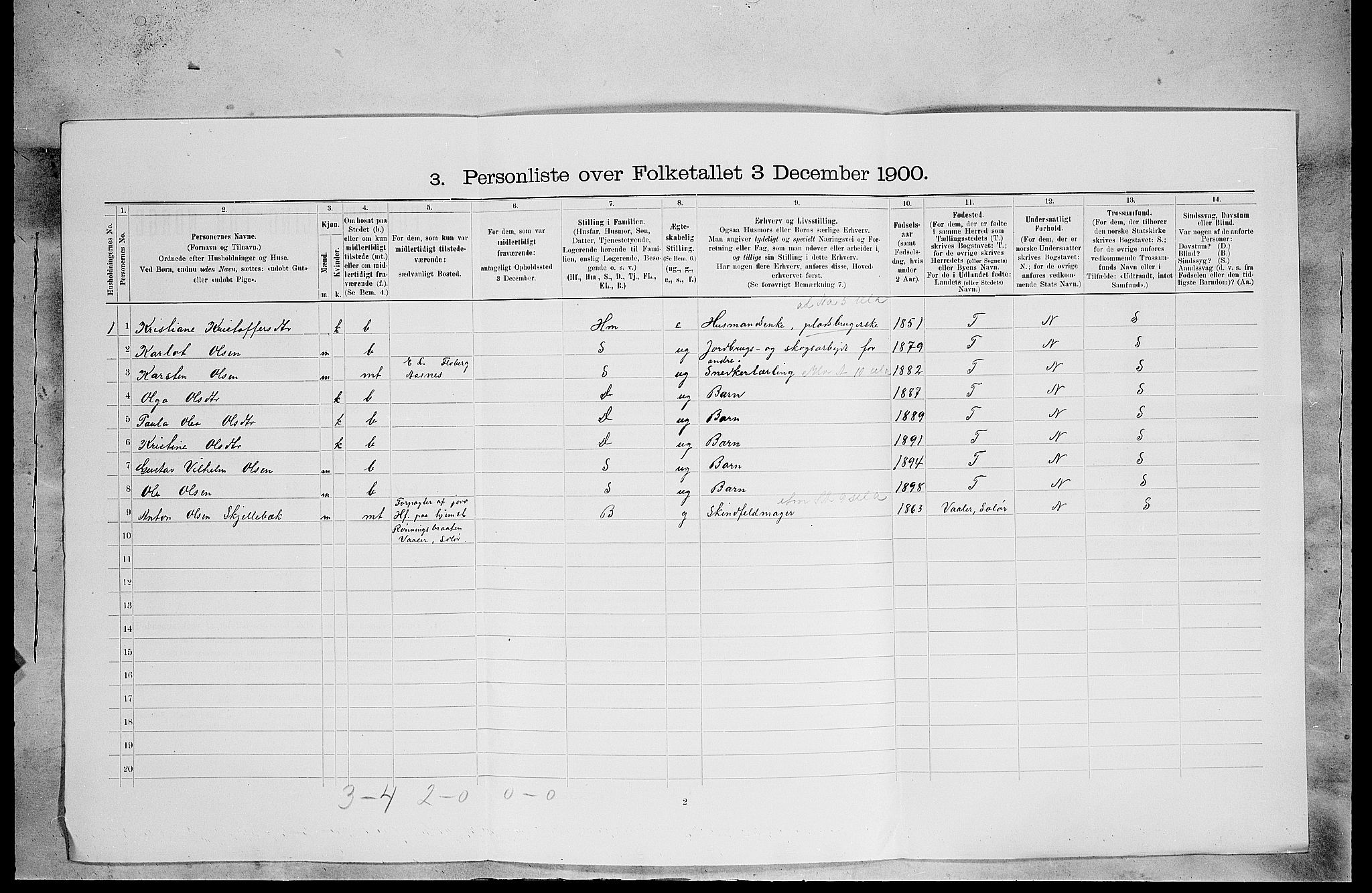 SAH, 1900 census for Åsnes, 1900, p. 491