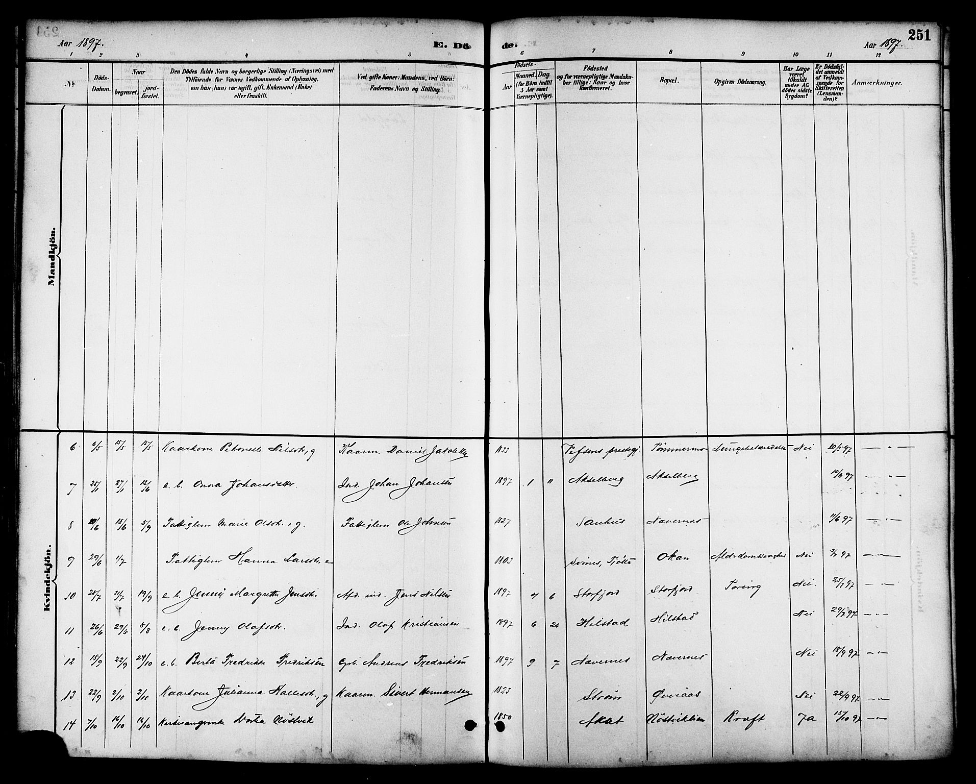 Ministerialprotokoller, klokkerbøker og fødselsregistre - Nordland, AV/SAT-A-1459/814/L0230: Parish register (copy) no. 814C03, 1884-1911, p. 251