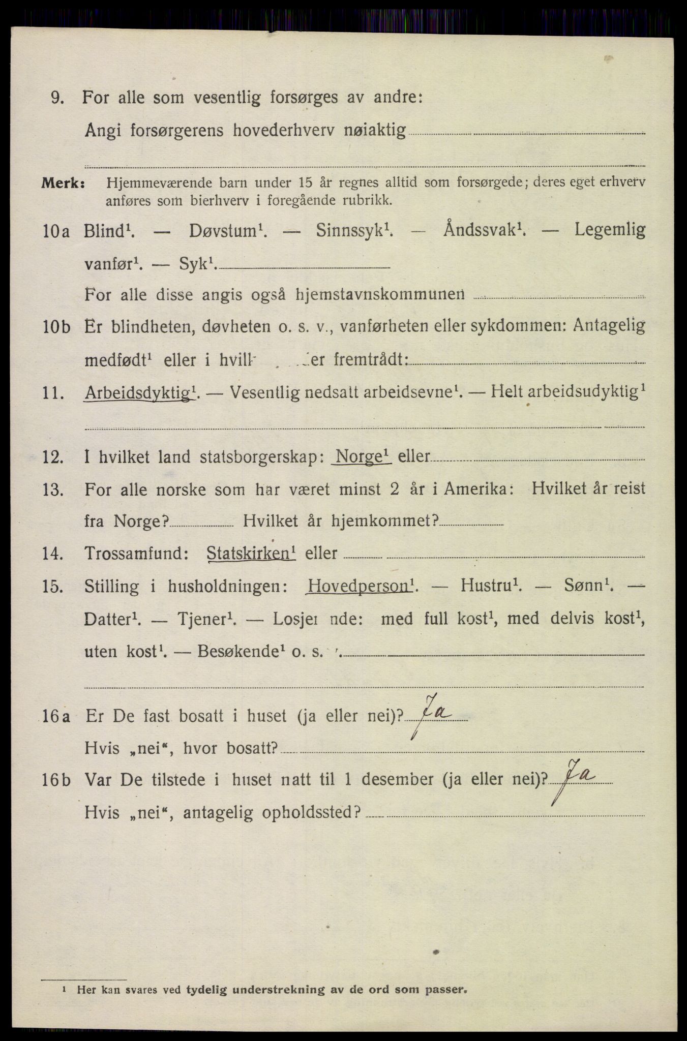 SAH, 1920 census for Åsnes, 1920, p. 3381