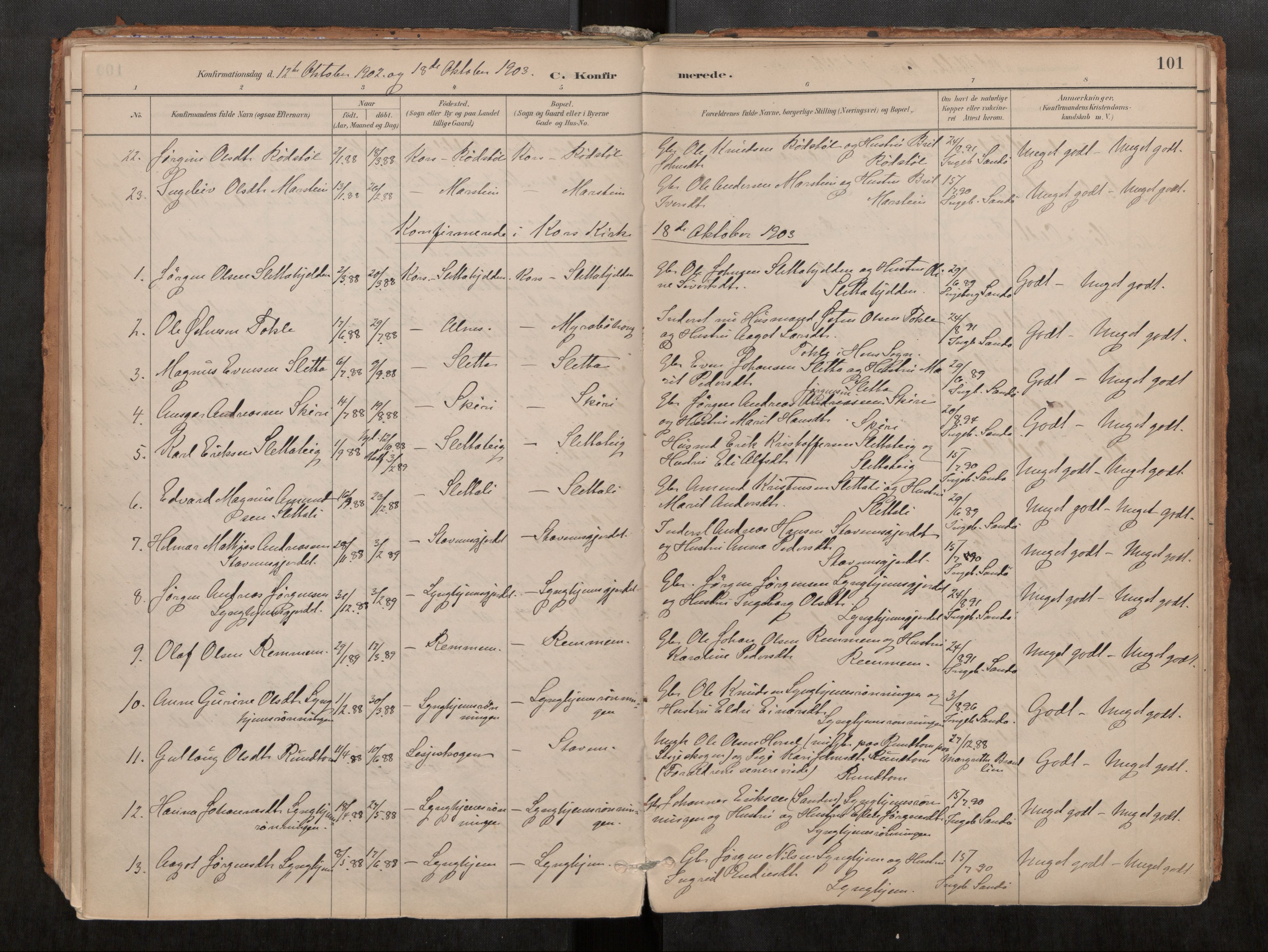 Ministerialprotokoller, klokkerbøker og fødselsregistre - Møre og Romsdal, SAT/A-1454/546/L0599: Parish register (official) no. 546A03, 1882-1920, p. 101