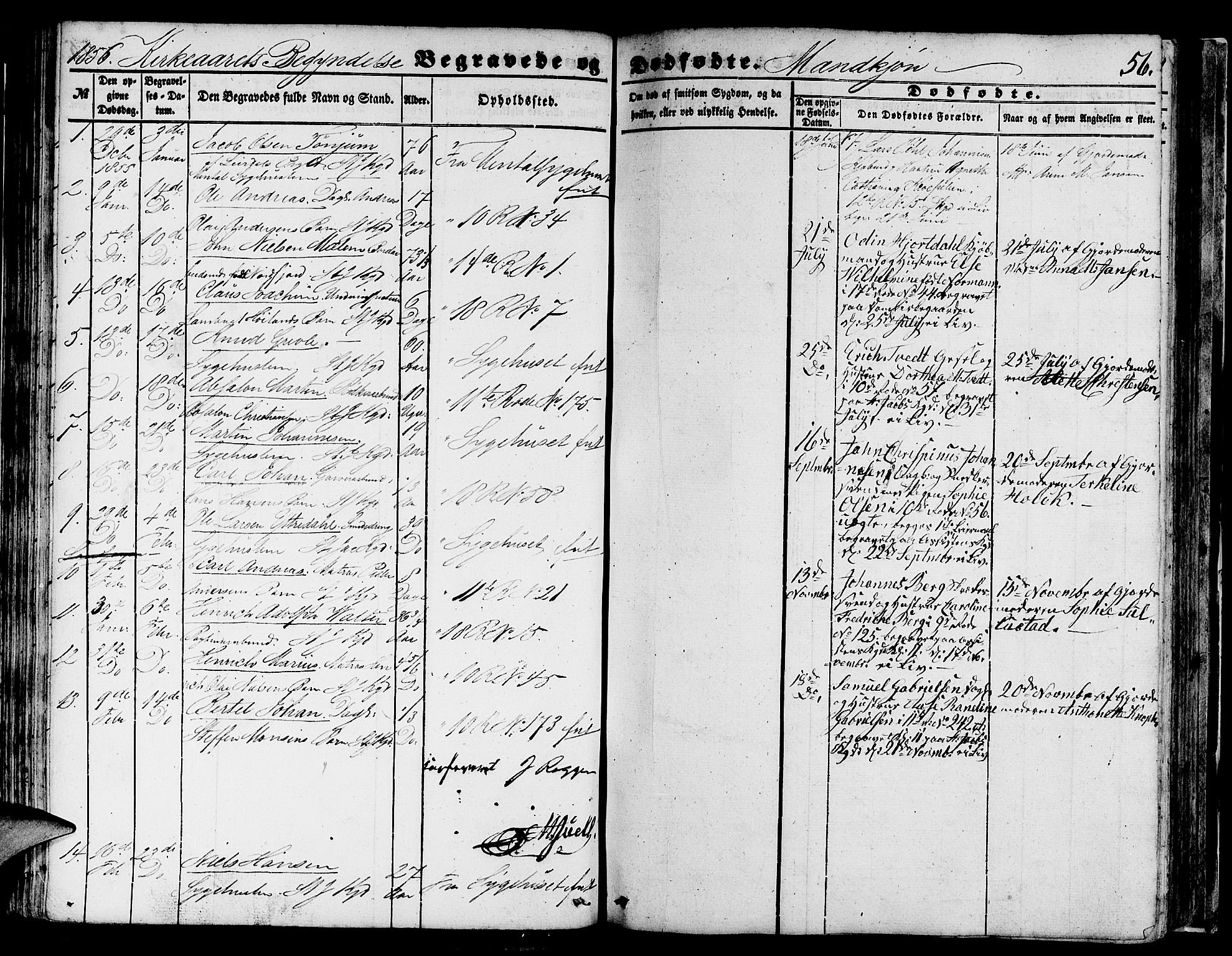 Domkirken sokneprestembete, SAB/A-74801/H/Hab/L0038: Parish register (copy) no. E 2, 1847-1859, p. 56