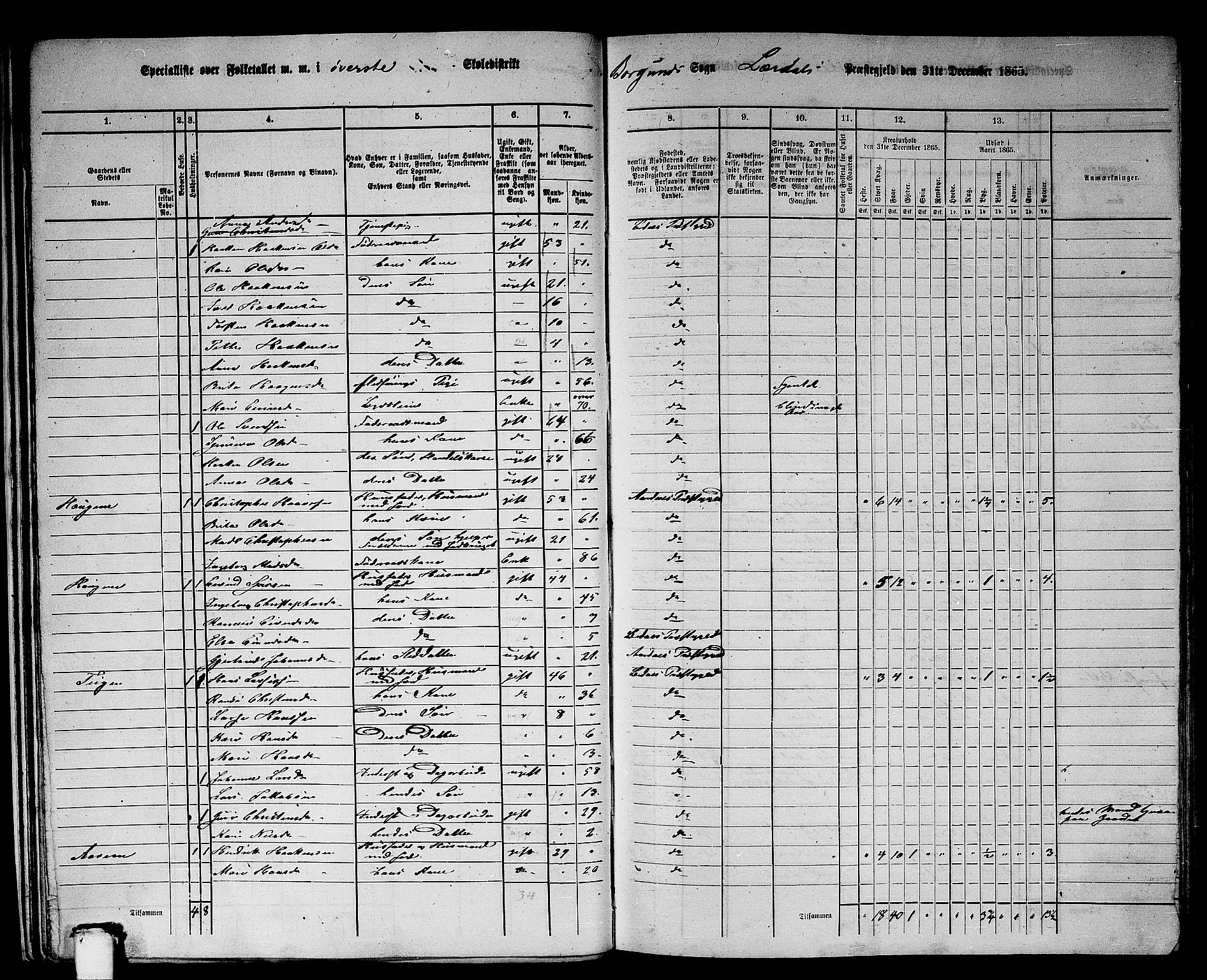 RA, 1865 census for Lærdal, 1865, p. 17