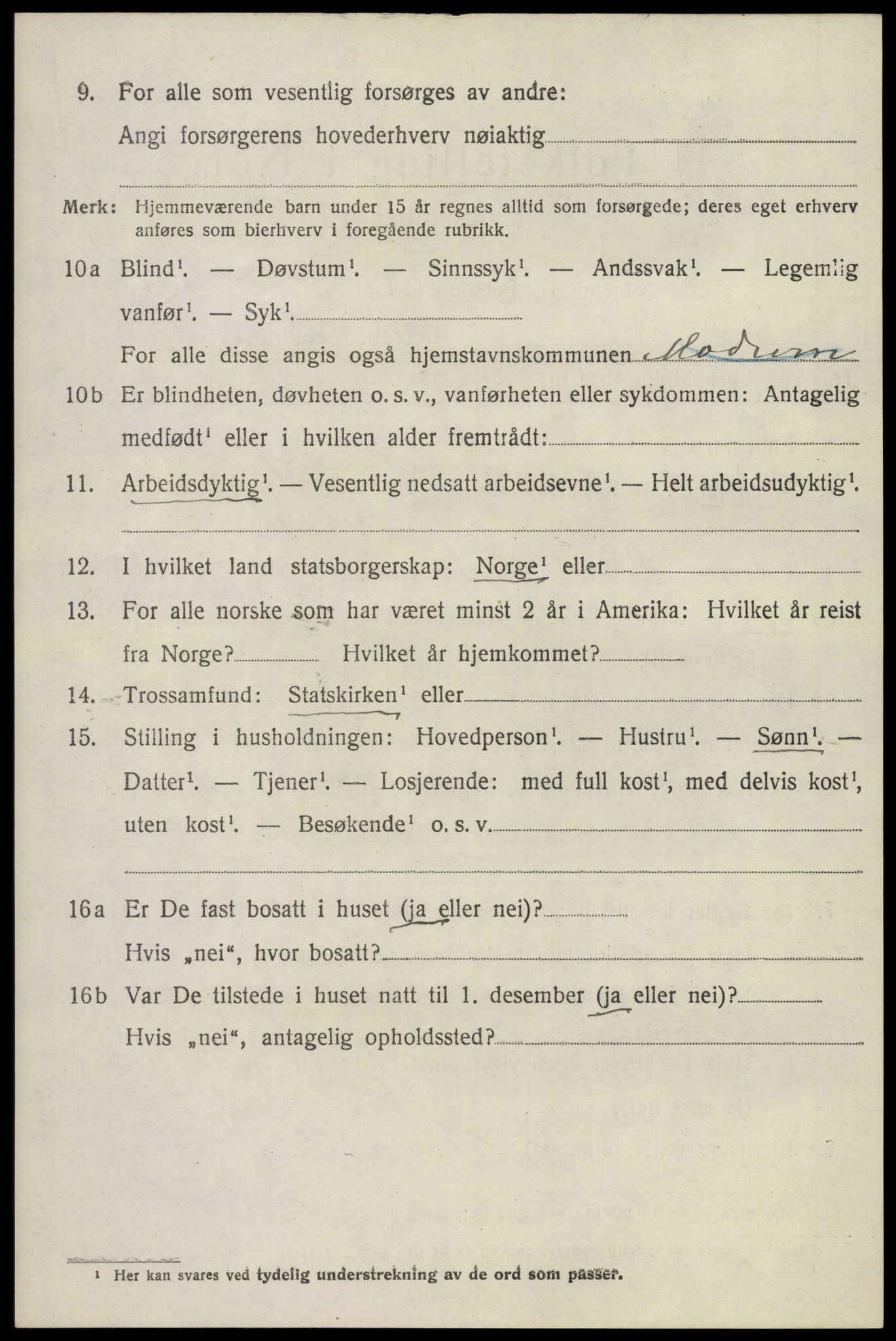 SAKO, 1920 census for Modum, 1920, p. 10016