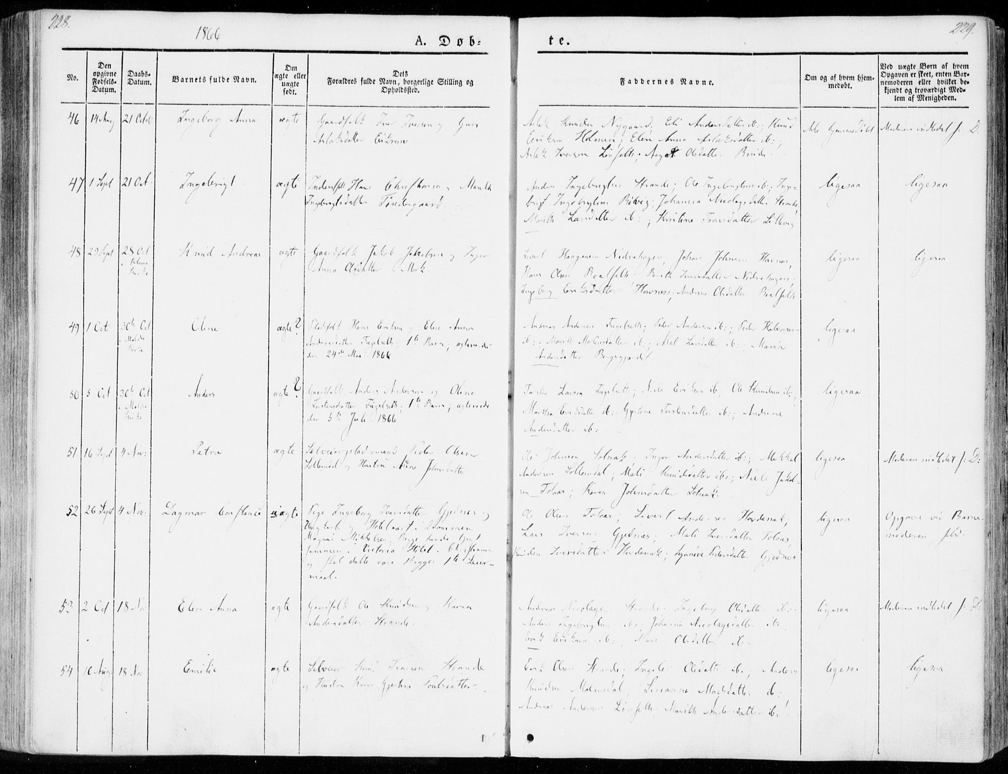 Ministerialprotokoller, klokkerbøker og fødselsregistre - Møre og Romsdal, SAT/A-1454/555/L0653: Parish register (official) no. 555A04, 1843-1869, p. 228-229