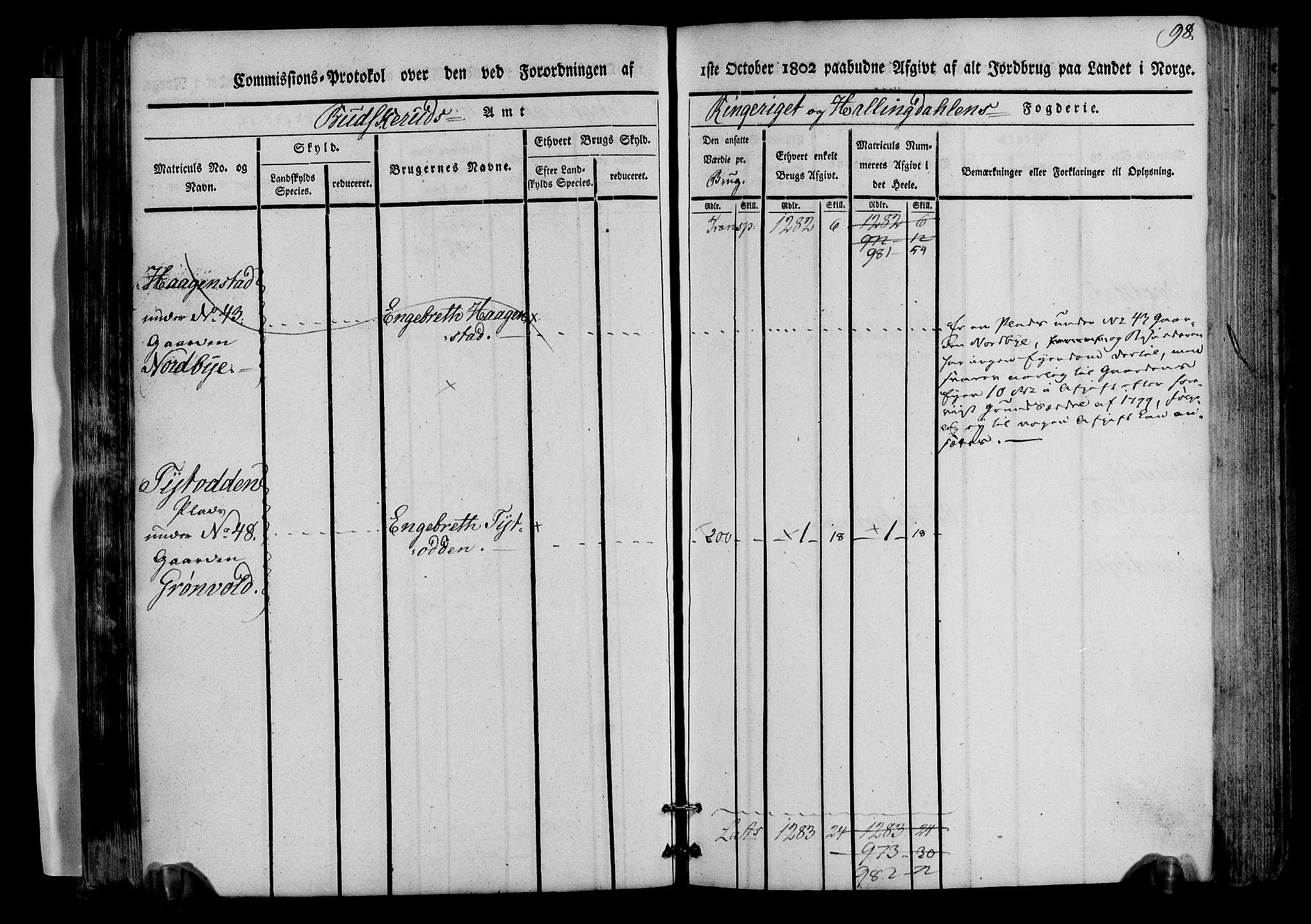 Rentekammeret inntil 1814, Realistisk ordnet avdeling, AV/RA-EA-4070/N/Ne/Nea/L0045: Ringerike og Hallingdal fogderi. Kommisjonsprotokoll for Norderhov prestegjeld, 1803, p. 101