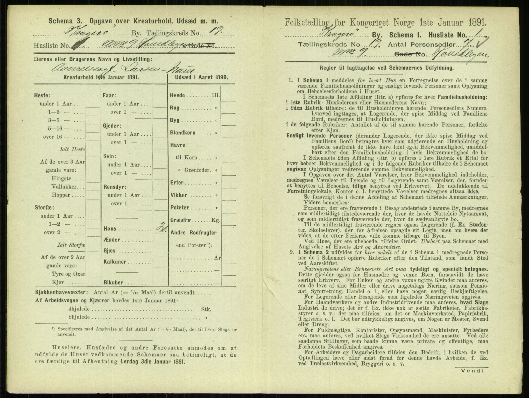 RA, 1891 census for 0801 Kragerø, 1891, p. 796