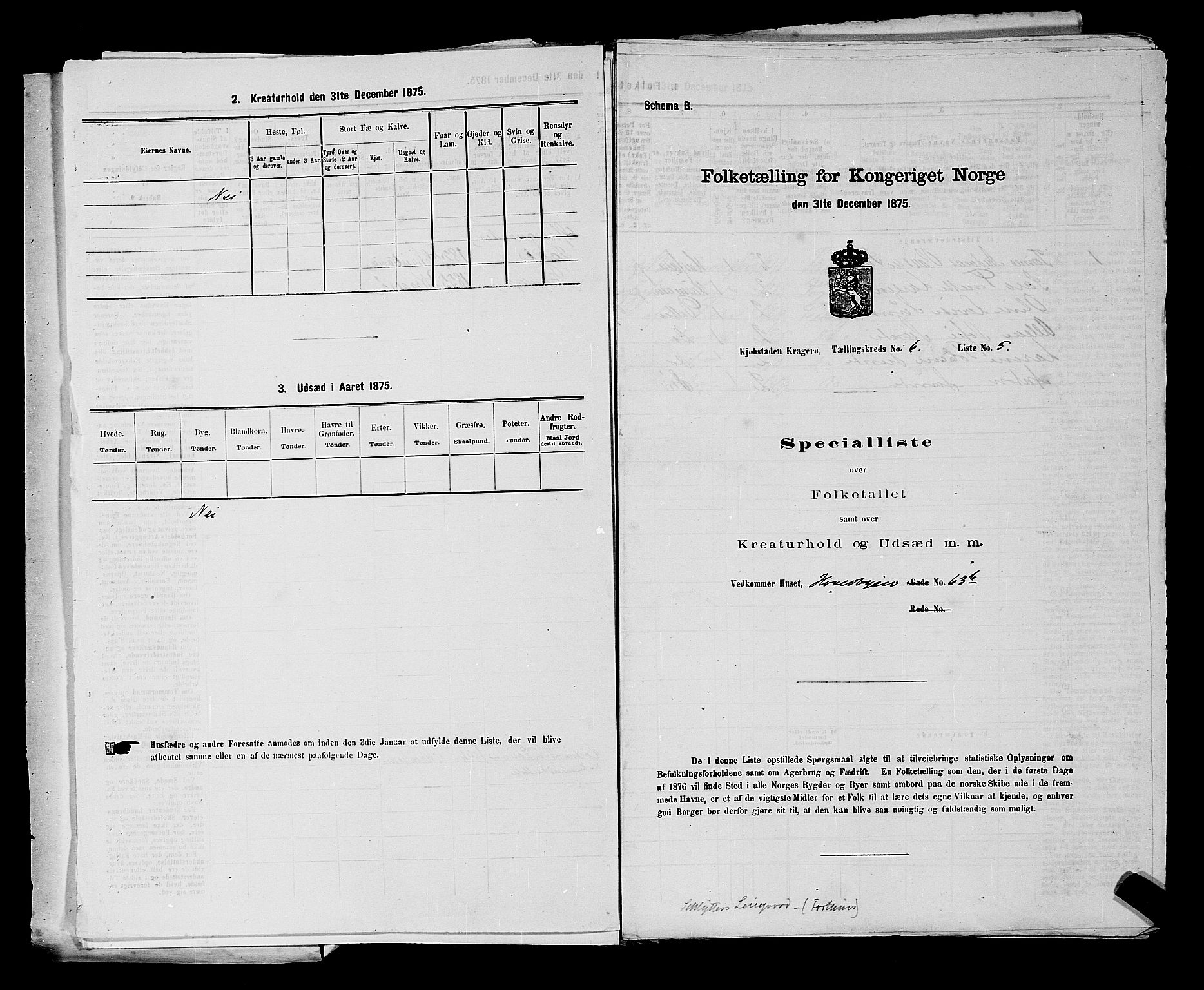 SAKO, 1875 census for 0801P Kragerø, 1875, p. 136