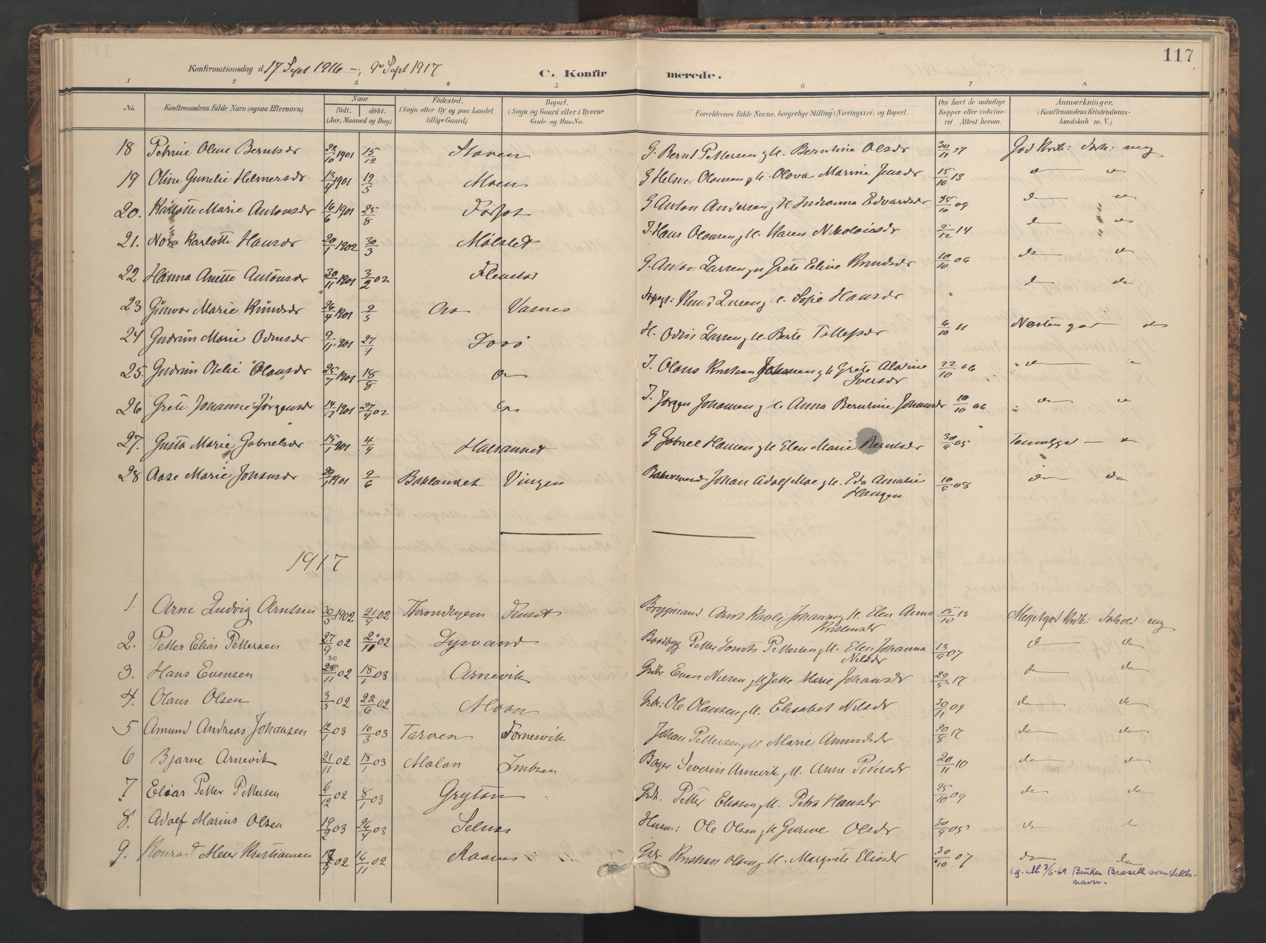Ministerialprotokoller, klokkerbøker og fødselsregistre - Sør-Trøndelag, SAT/A-1456/655/L0682: Parish register (official) no. 655A11, 1908-1922, p. 117