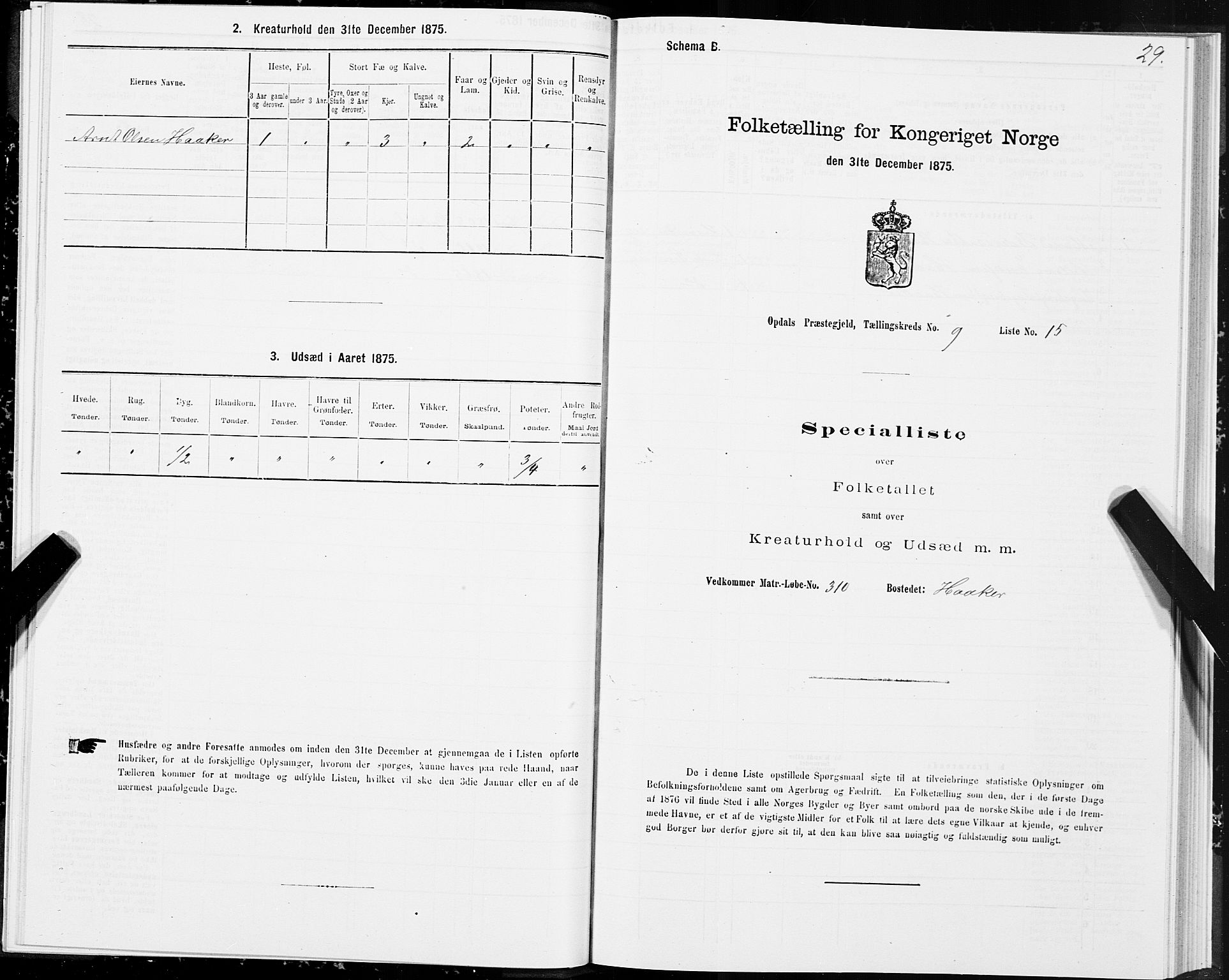 SAT, 1875 census for 1634P Oppdal, 1875, p. 6029