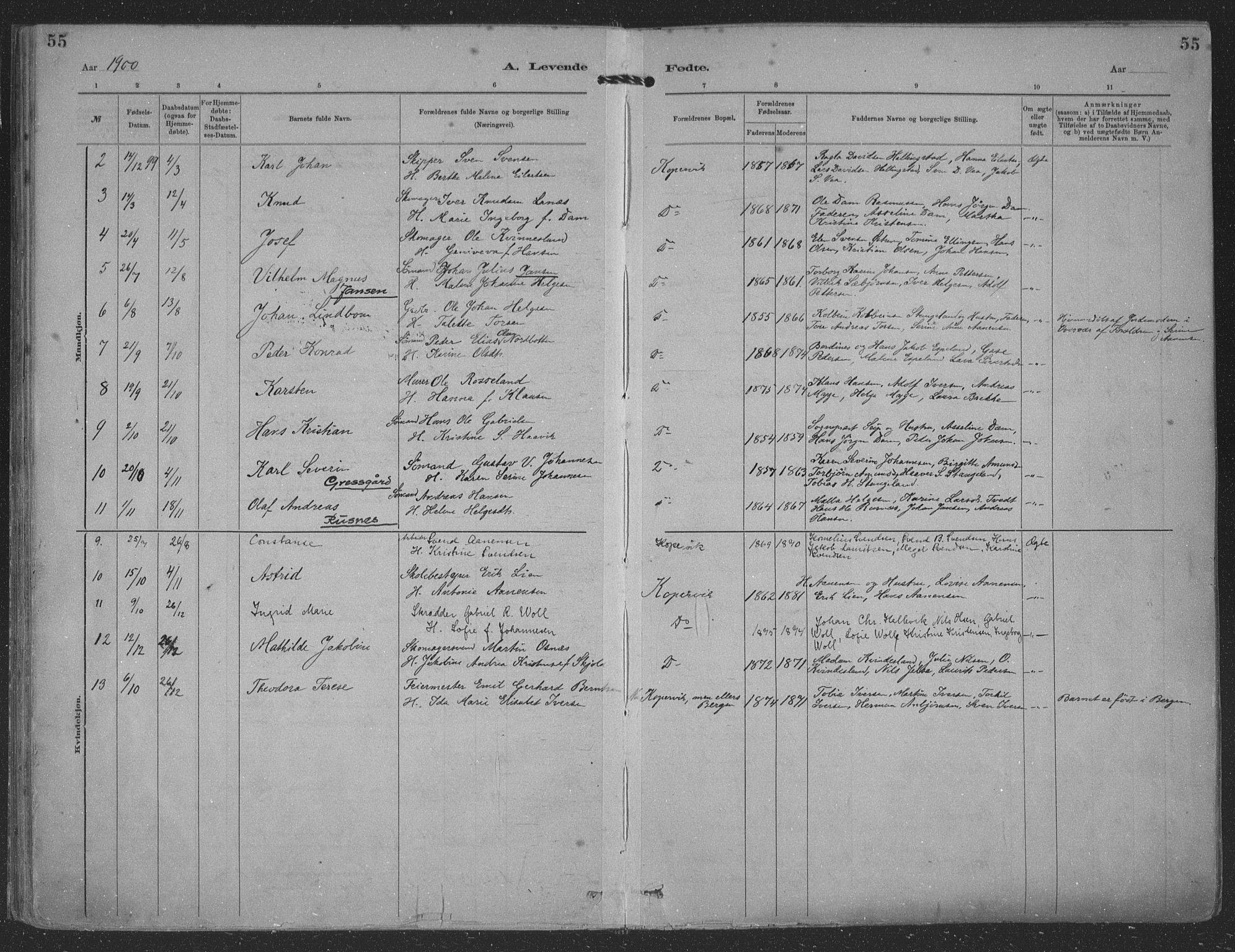 Kopervik sokneprestkontor, AV/SAST-A-101850/H/Ha/Haa/L0001: Parish register (official) no. A 1, 1880-1919, p. 55